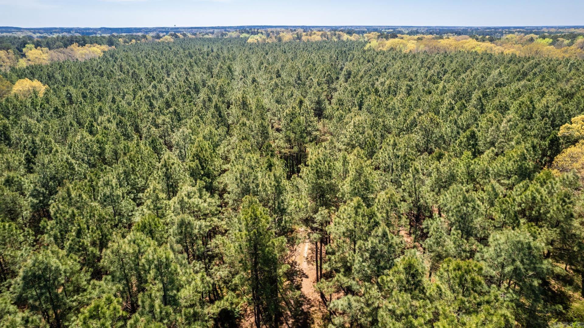Highway 278 Property Photo 35