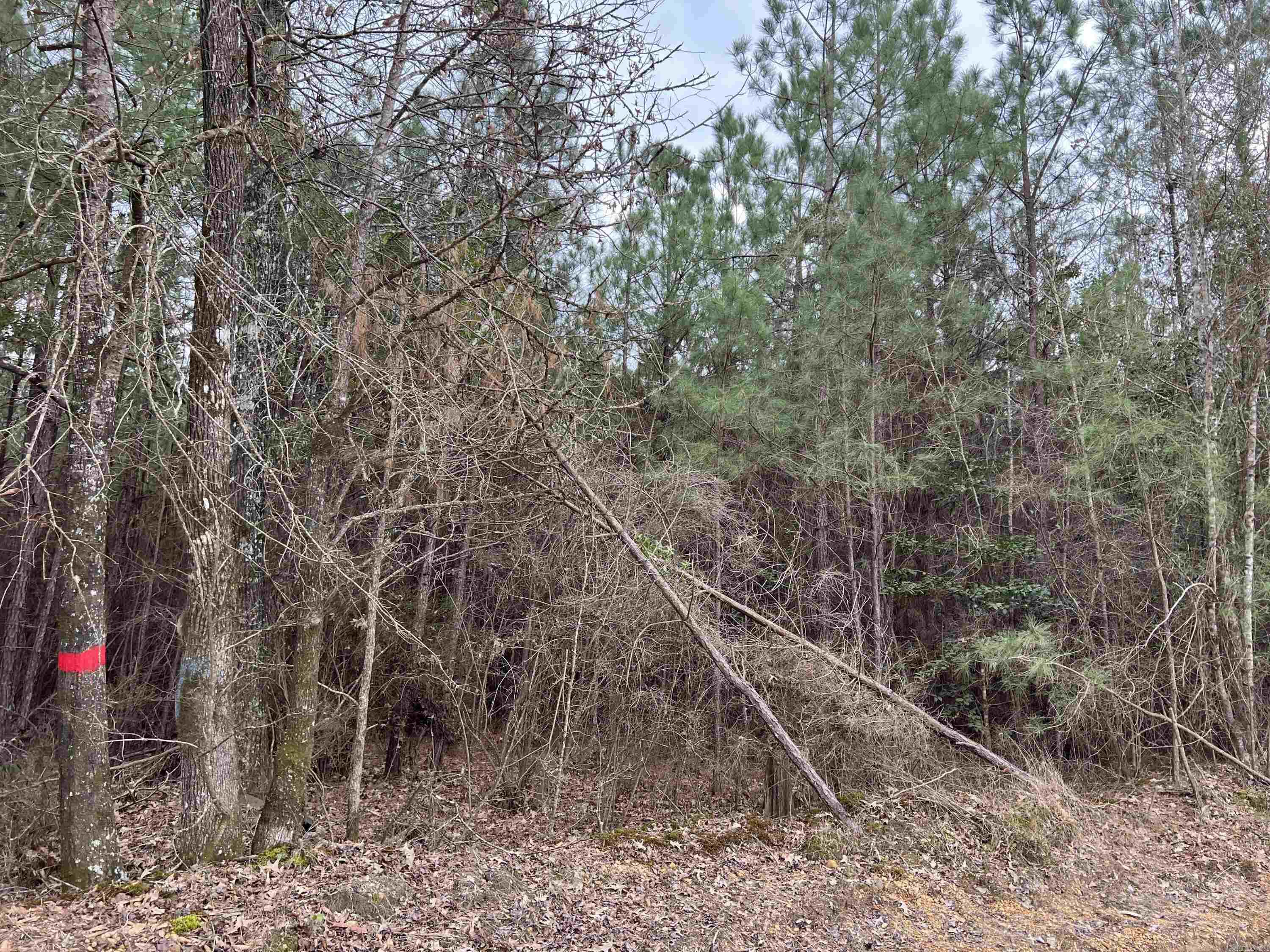 Sparkman East 25 Property Photo 2