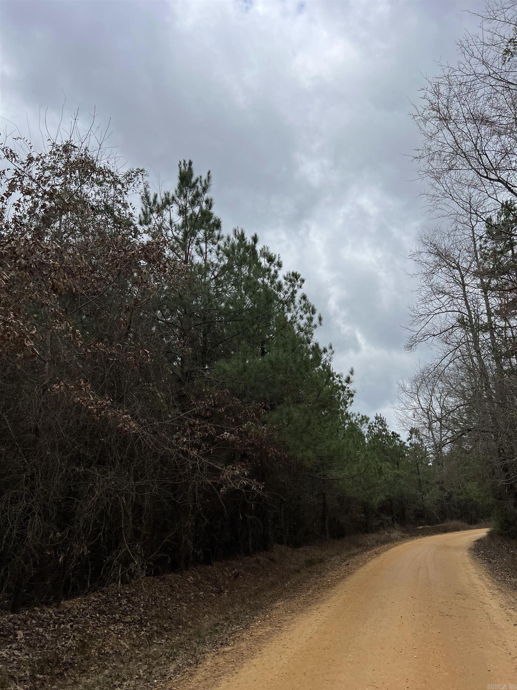 Sparkman East 25 Property Photo 8