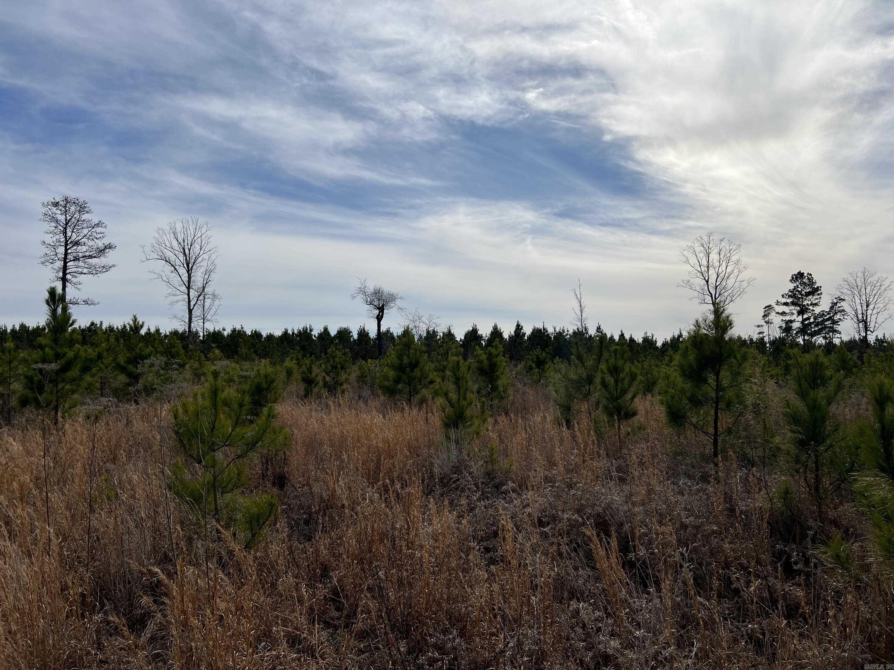 Highway 79 South Property Photo 2