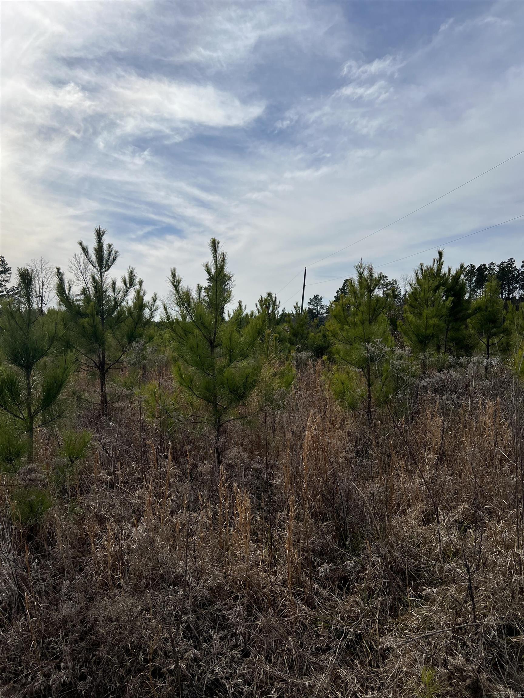 Highway 79 South Property Photo 3