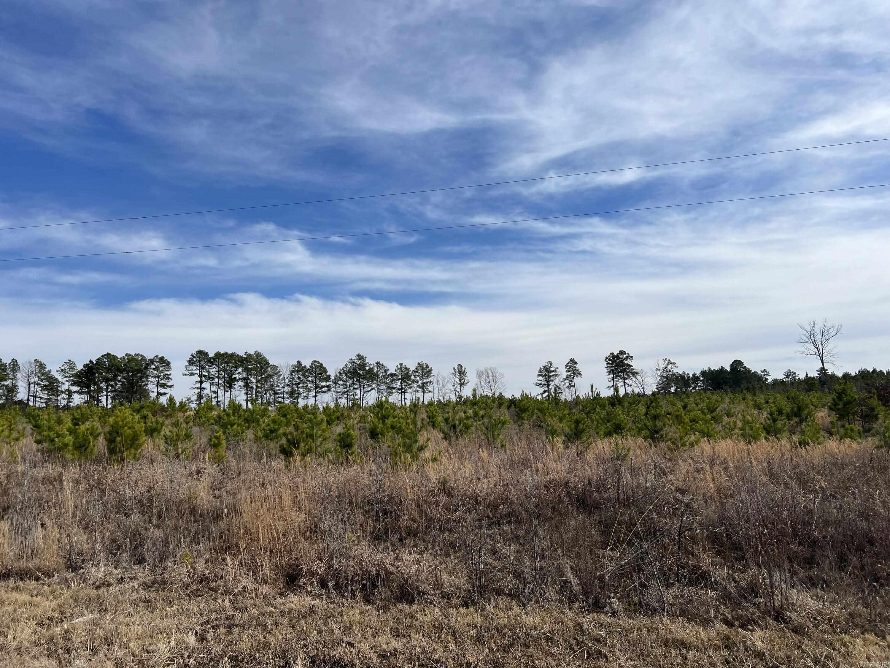 Highway 79 South Property Photo 9
