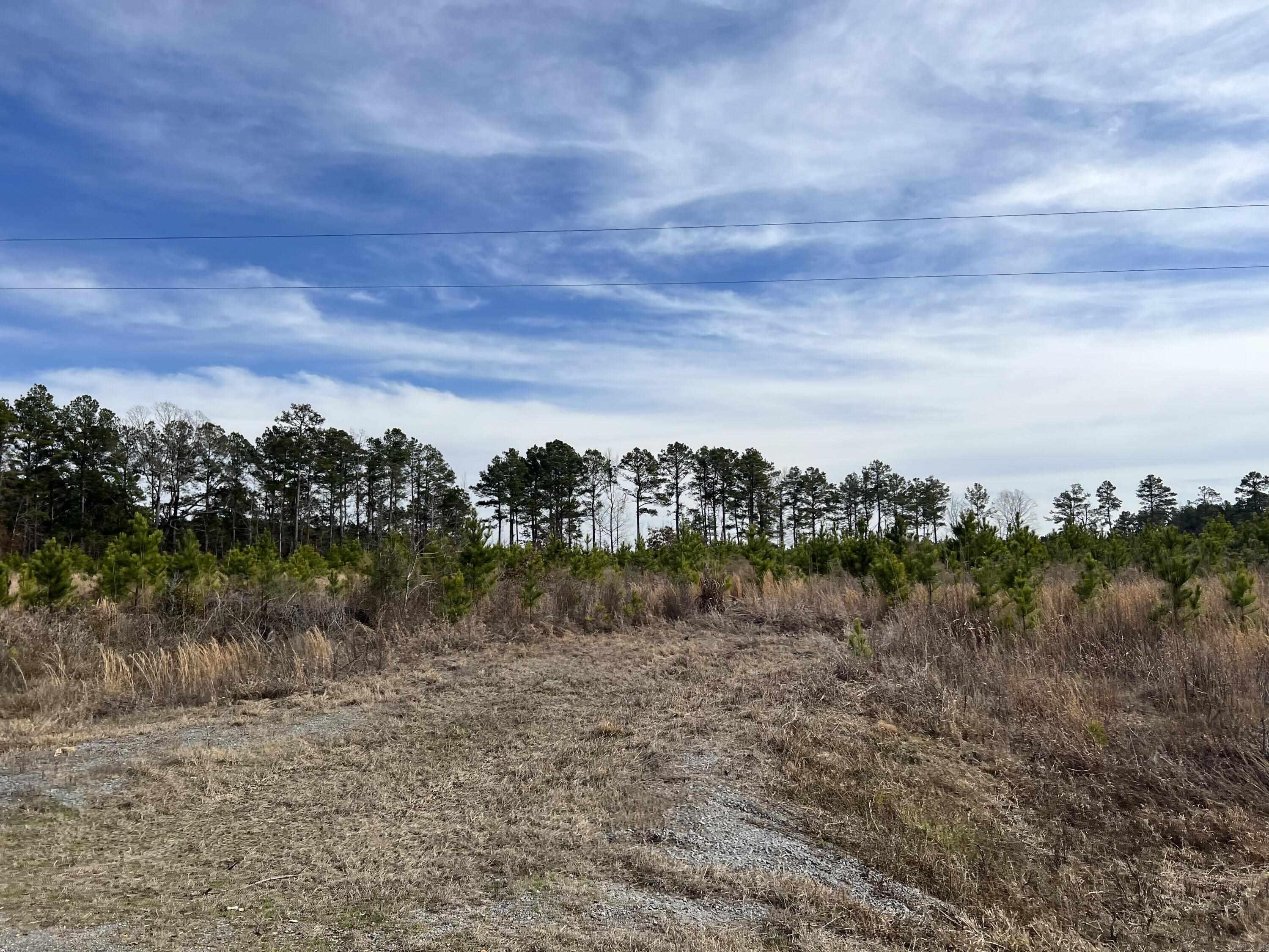 Highway 79 South Property Photo 10