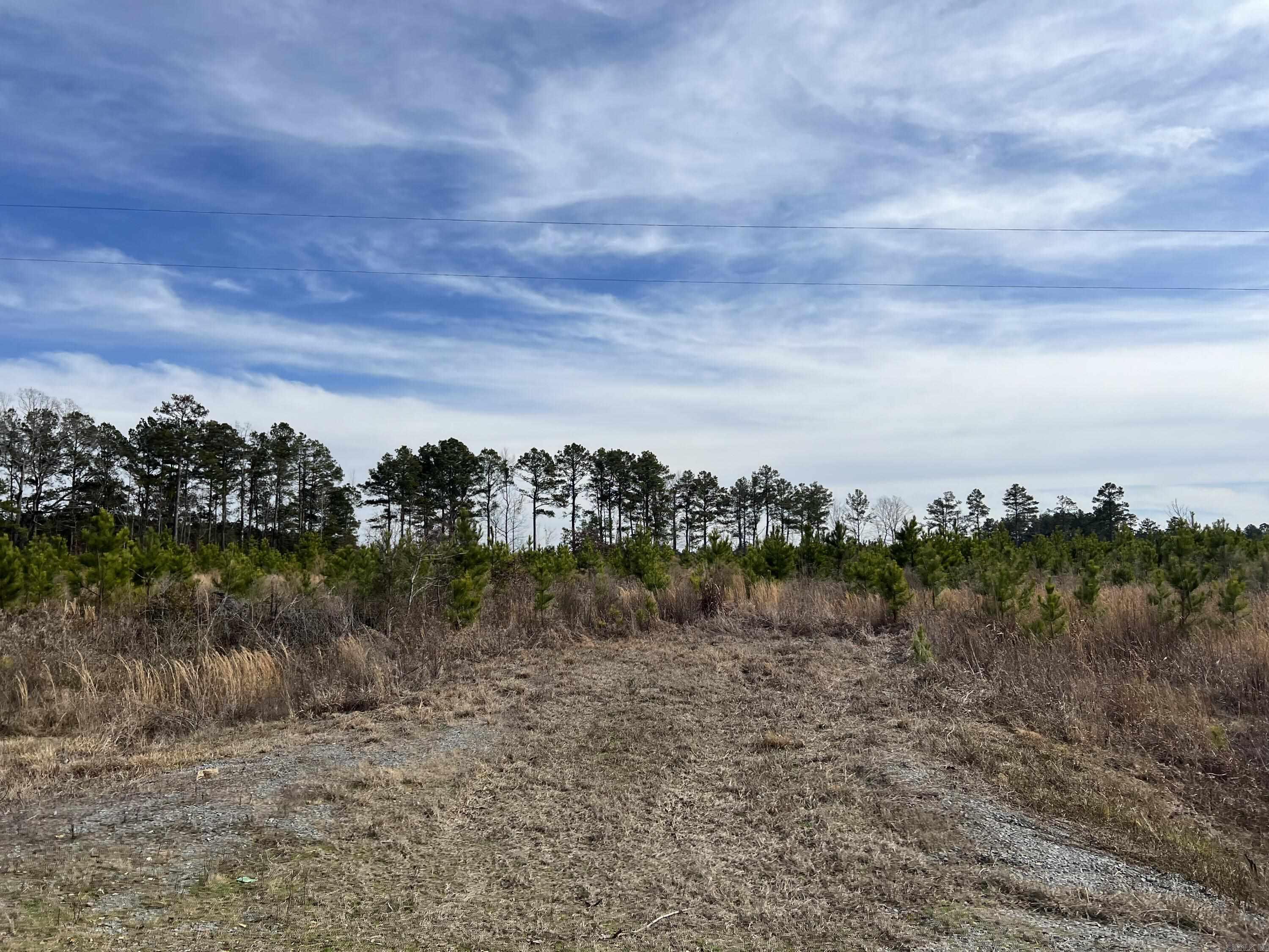 Highway 79 South Property Photo 11