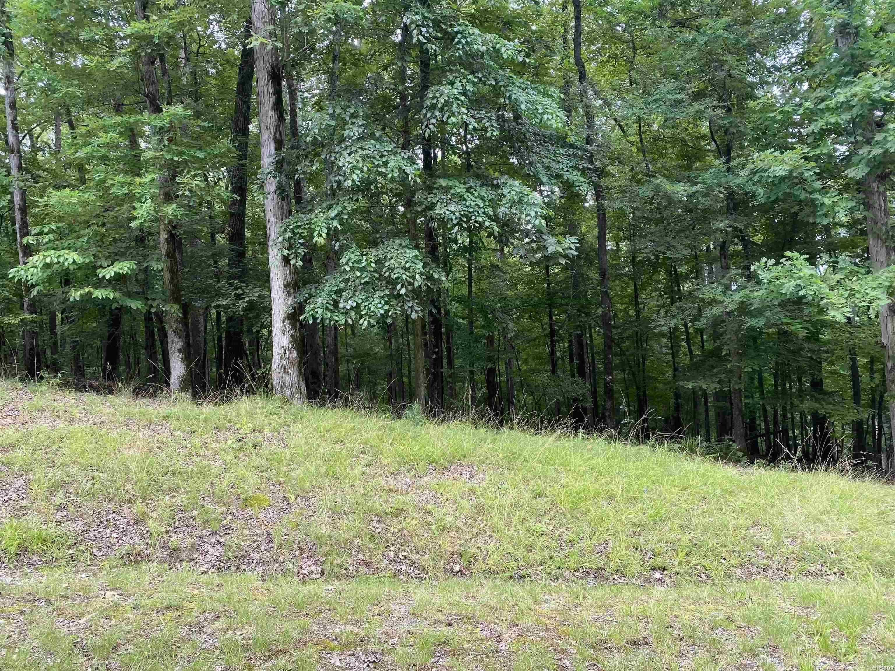 1016 Arlington Point Property Photo 1
