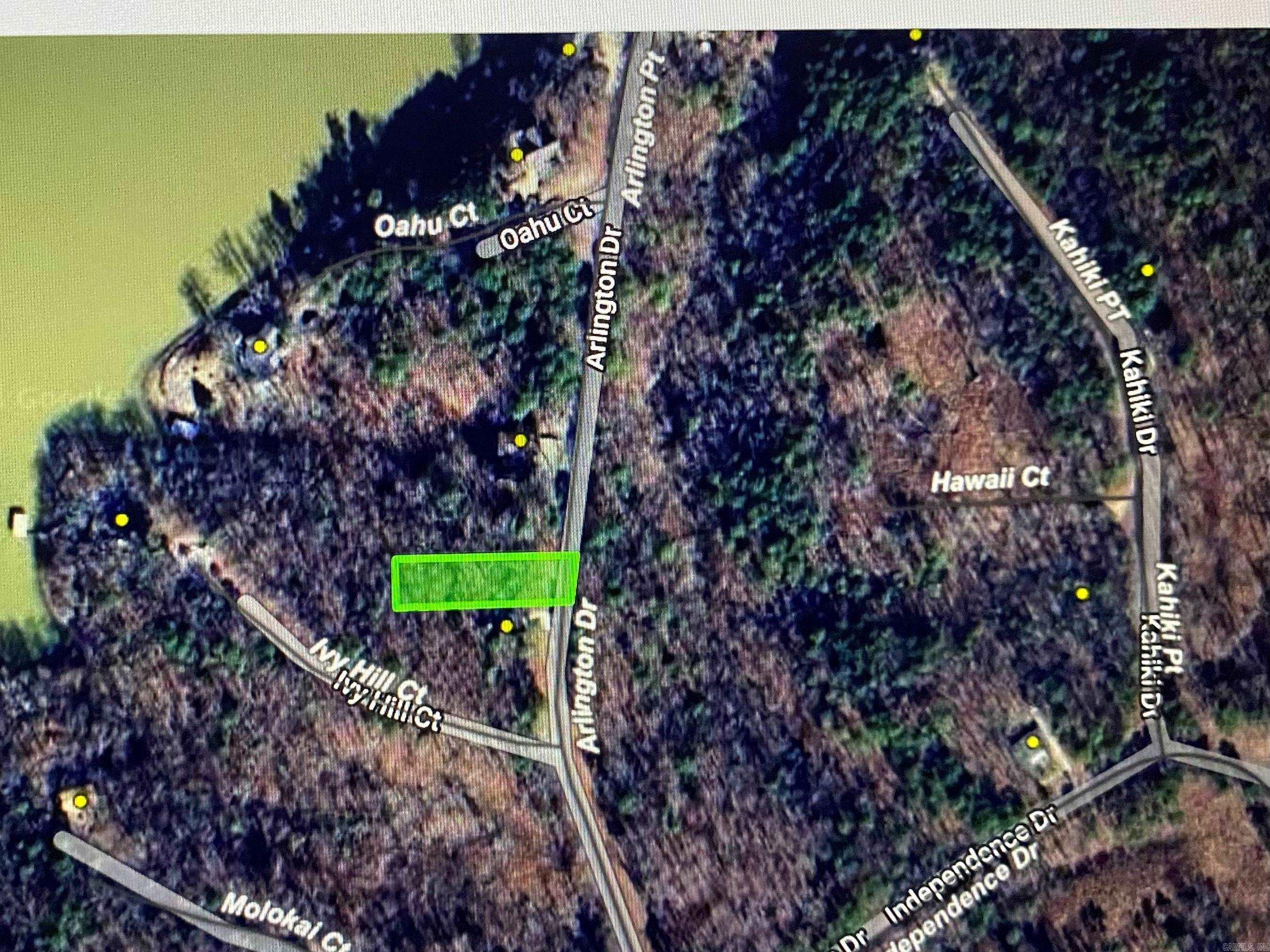 1016 Arlington Point Property Photo 2