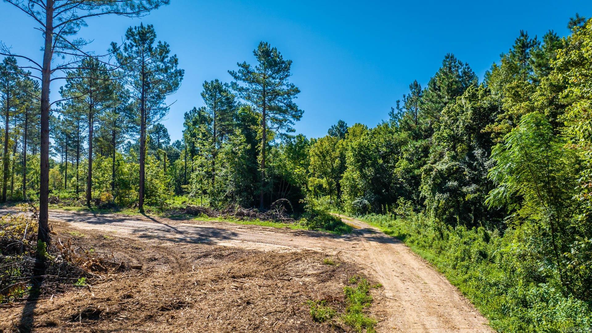 Gilmer Bridge Lots Property Photo 8