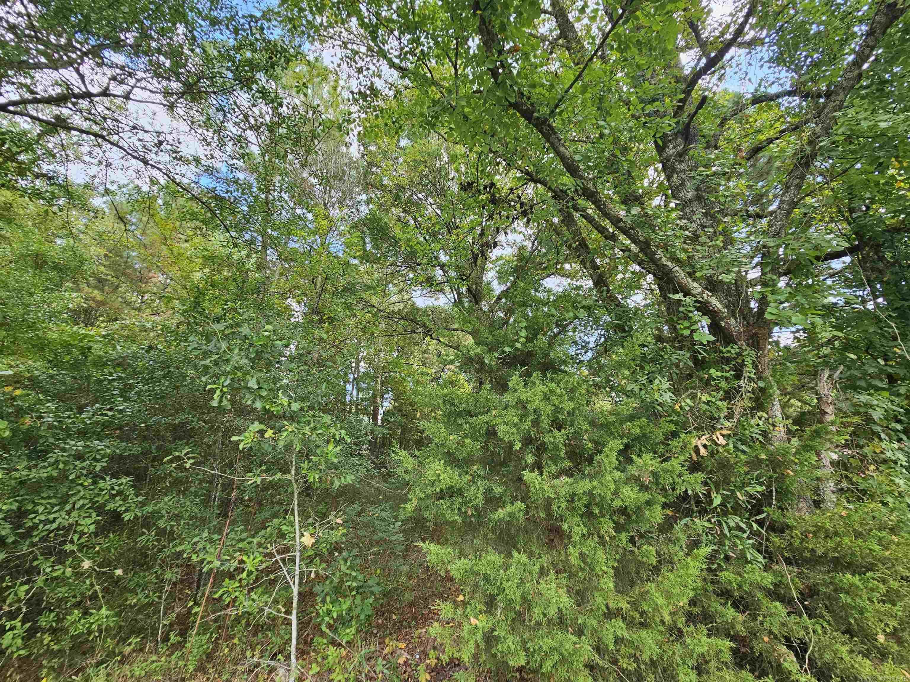 Tbd Doggett Circle Property Photo 2