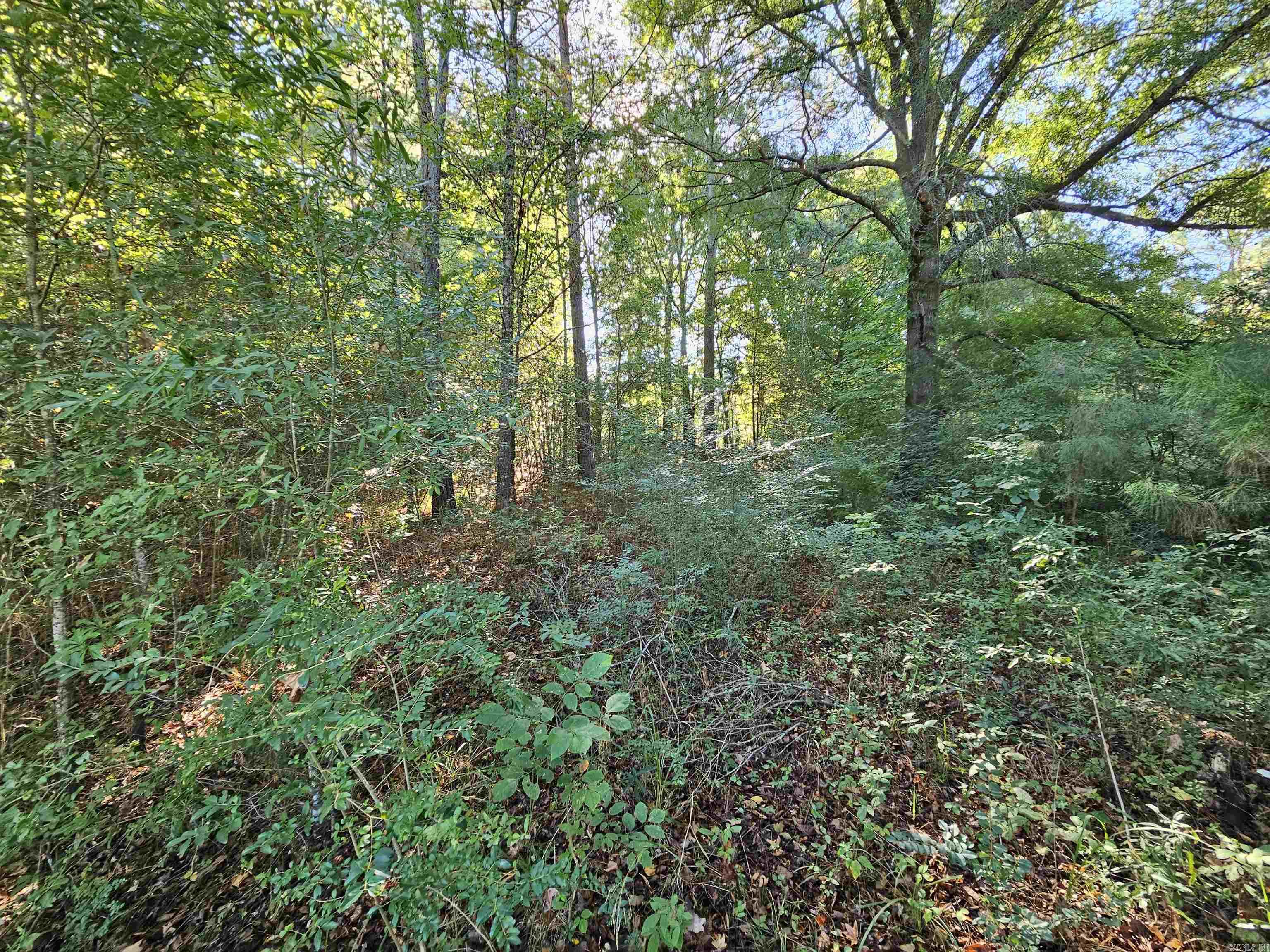 Tbd Doggett Circle Property Photo 3