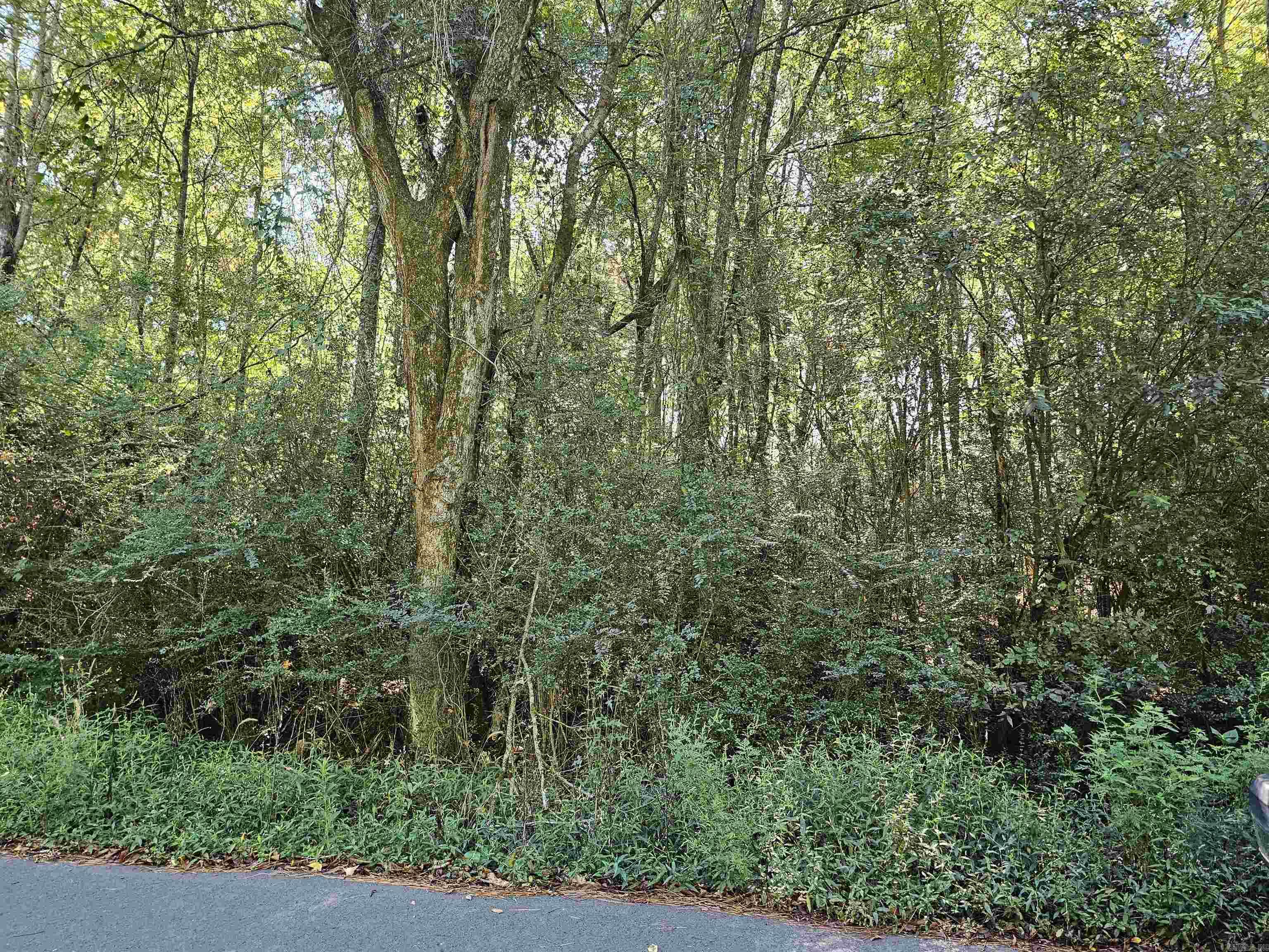 Tbd Doggett Circle Property Photo