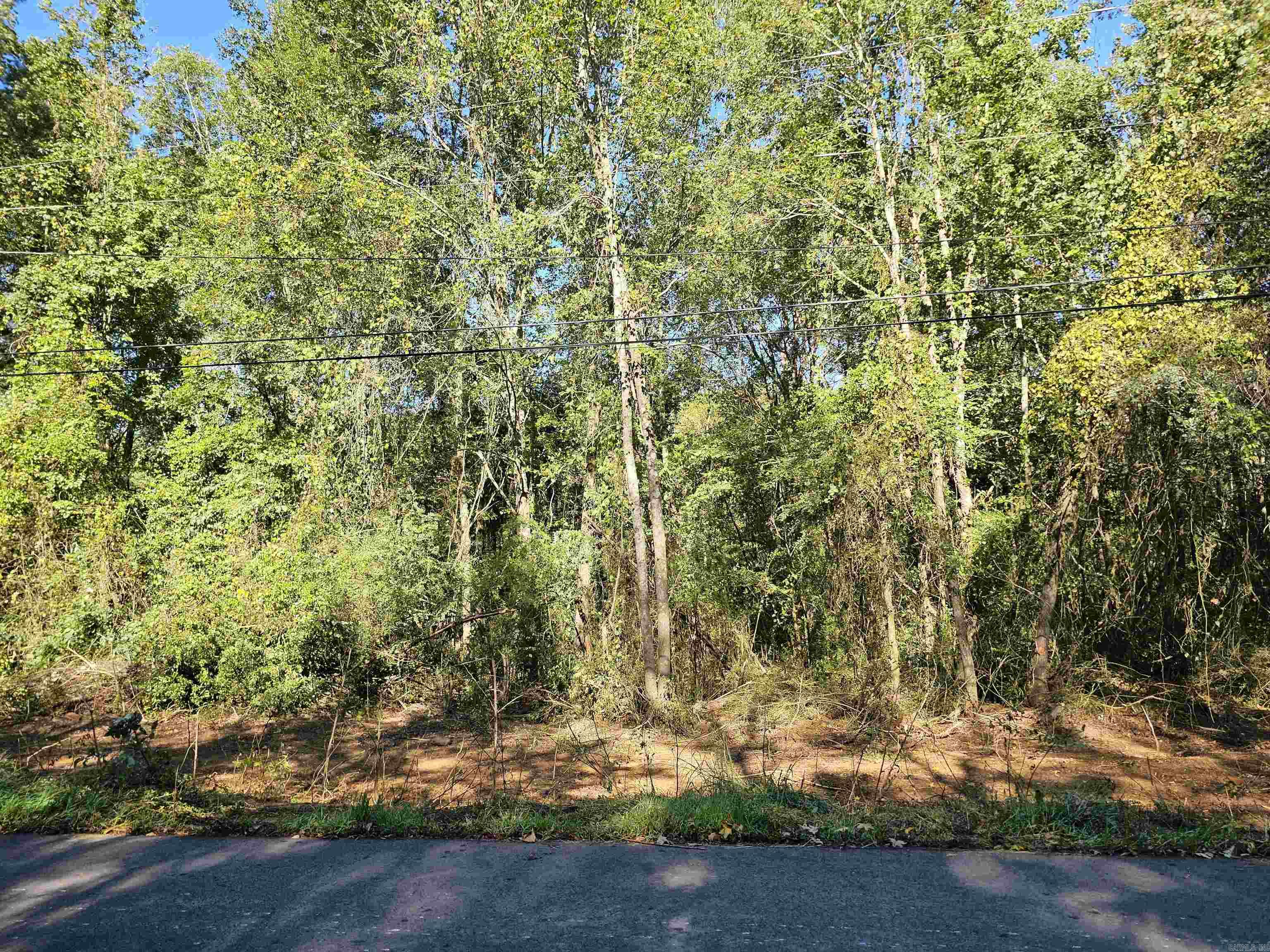 Tbd Doggett Circle Property Photo 3