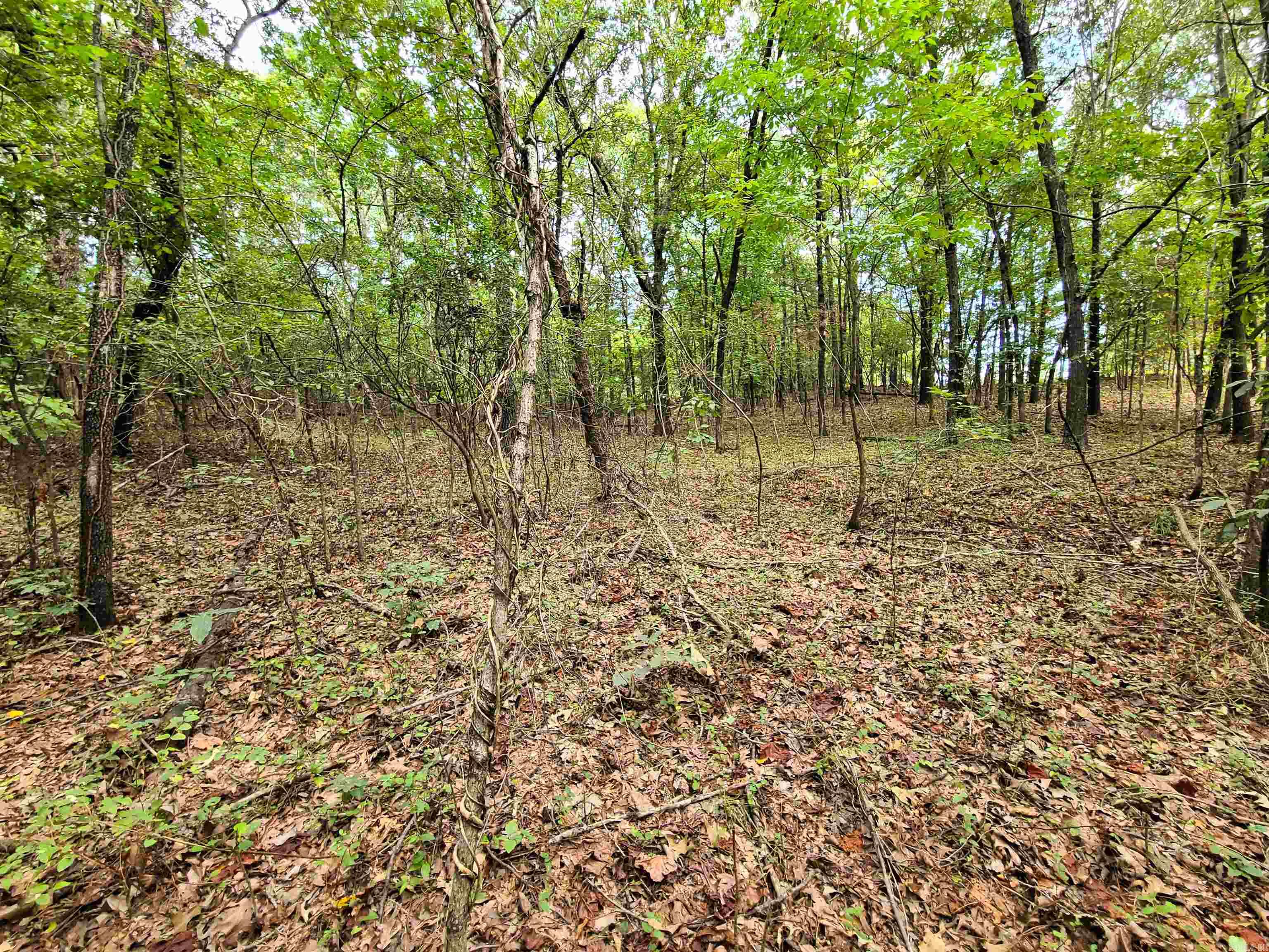 43 County Road Property Photo