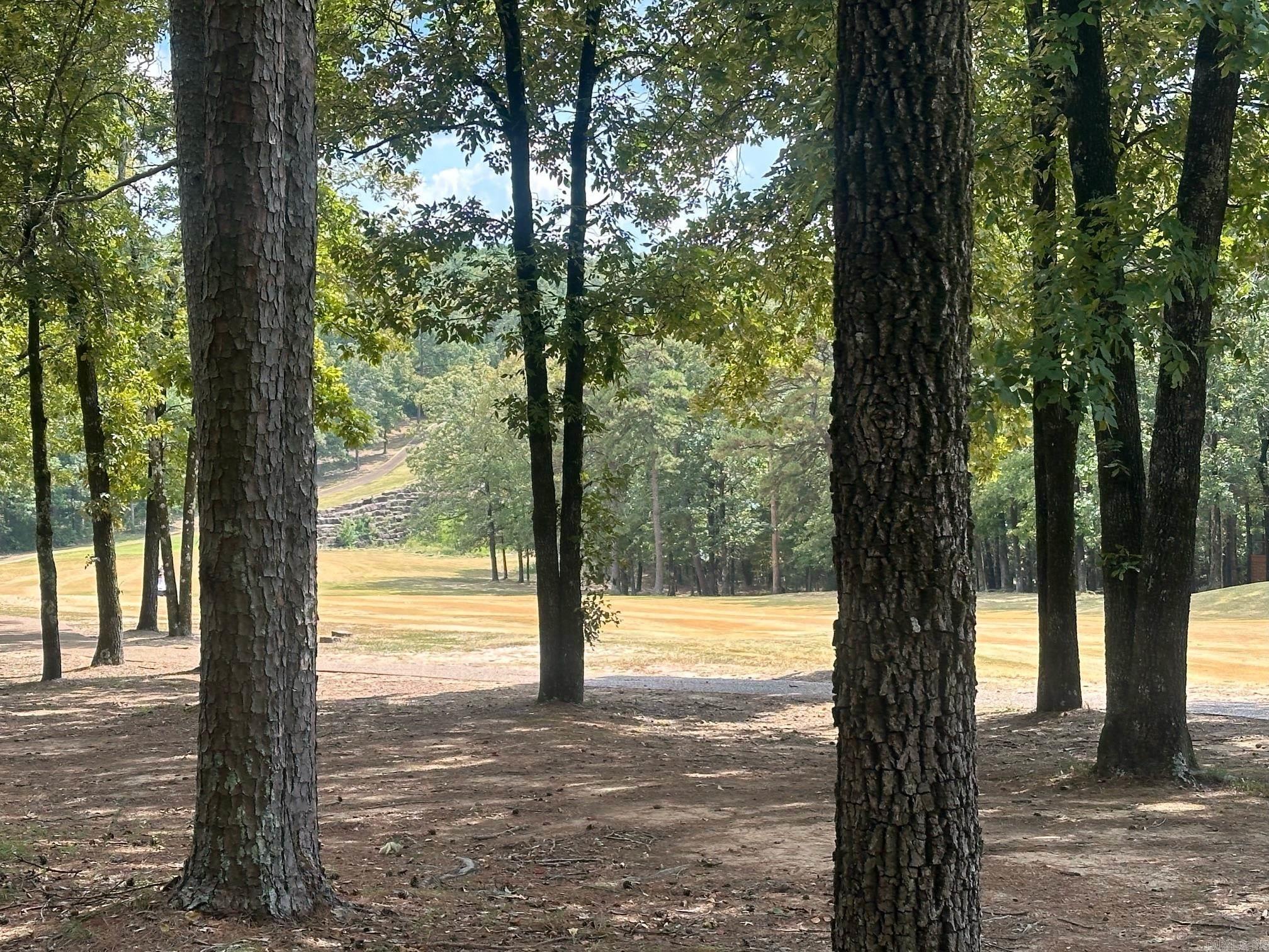 Lot 370 Brunn Cove Property Photo 5