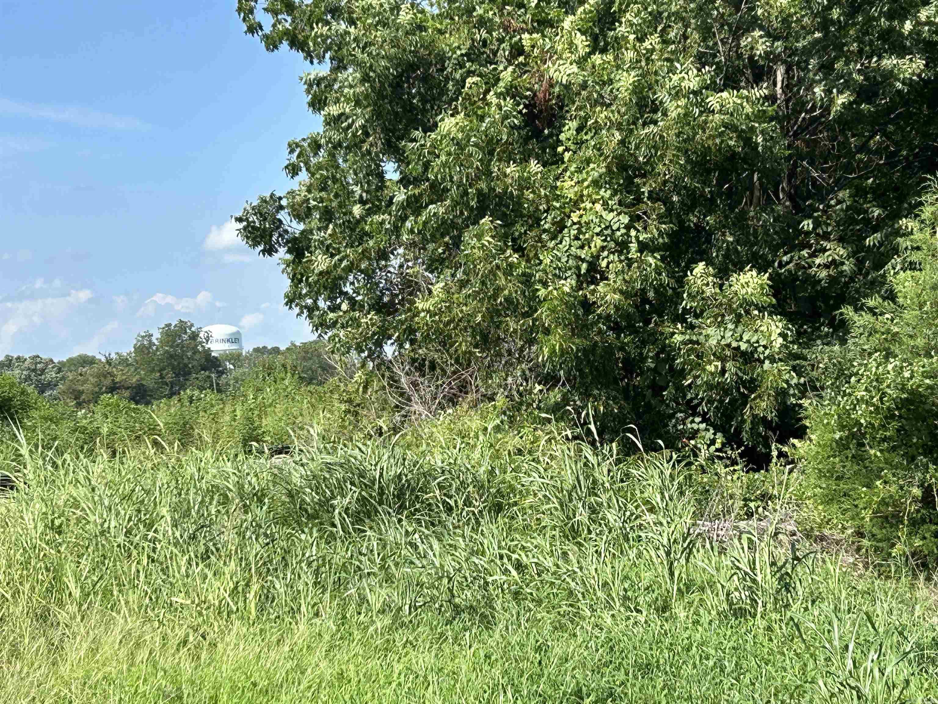 0 Grand North Property Photo 3