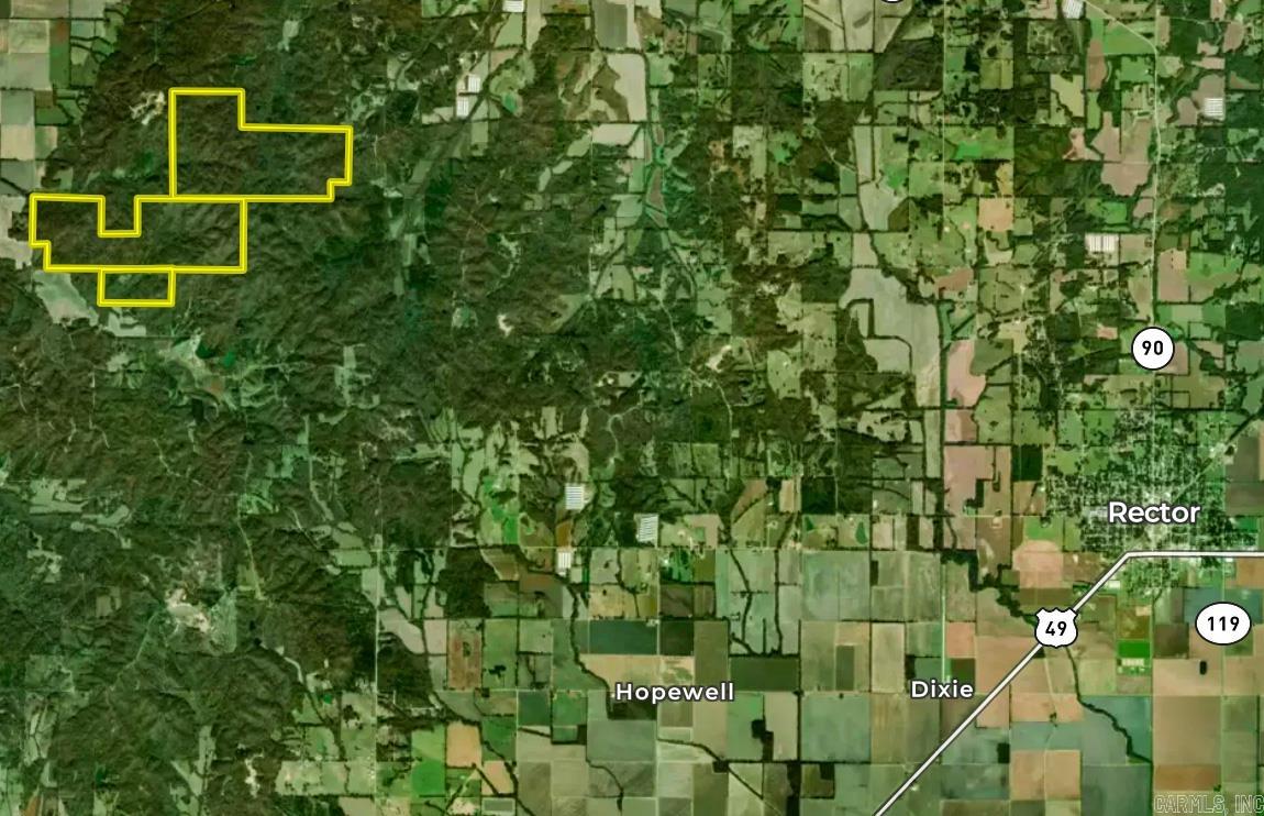 Clay County Rd. 408 Property Photo 3