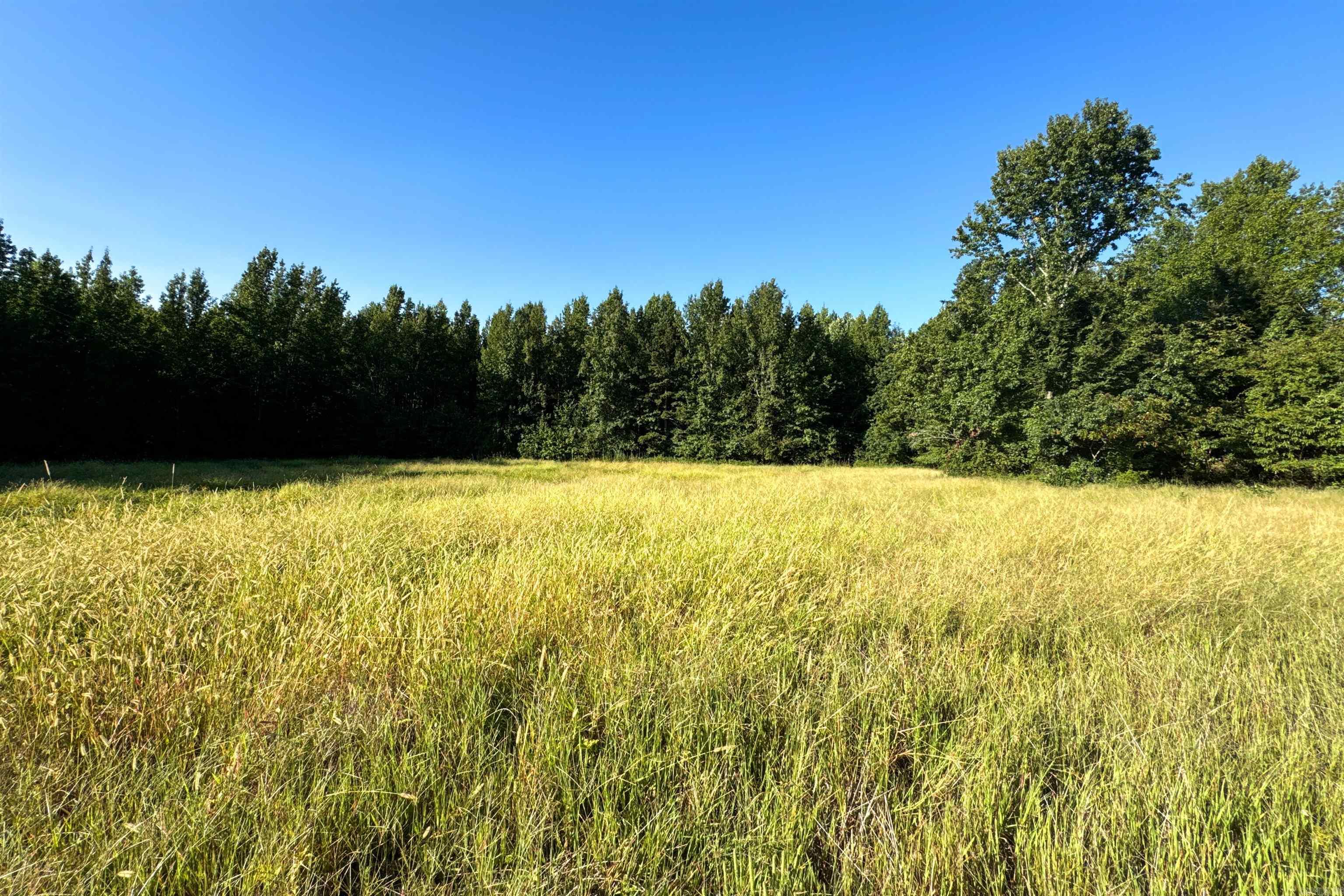Clay County Rd. 408 Property Photo 6