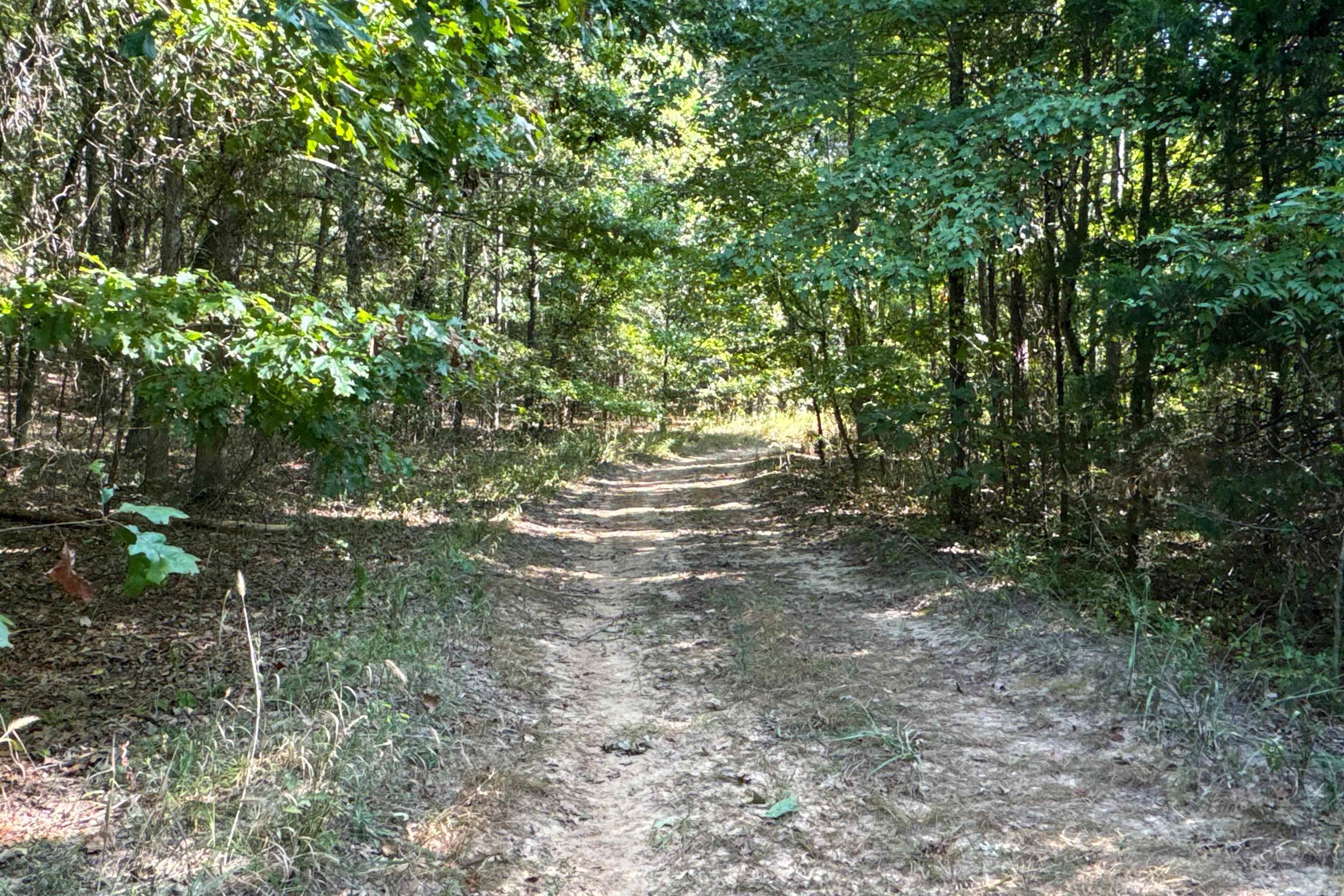 Clay County Rd. 408 Property Photo 8