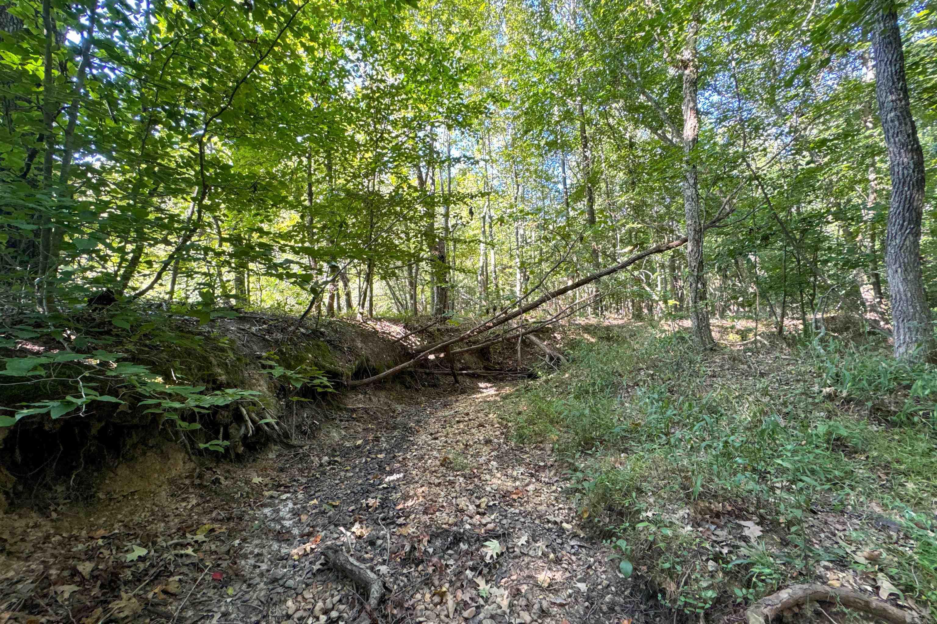 Clay County Rd. 408 Property Photo 12