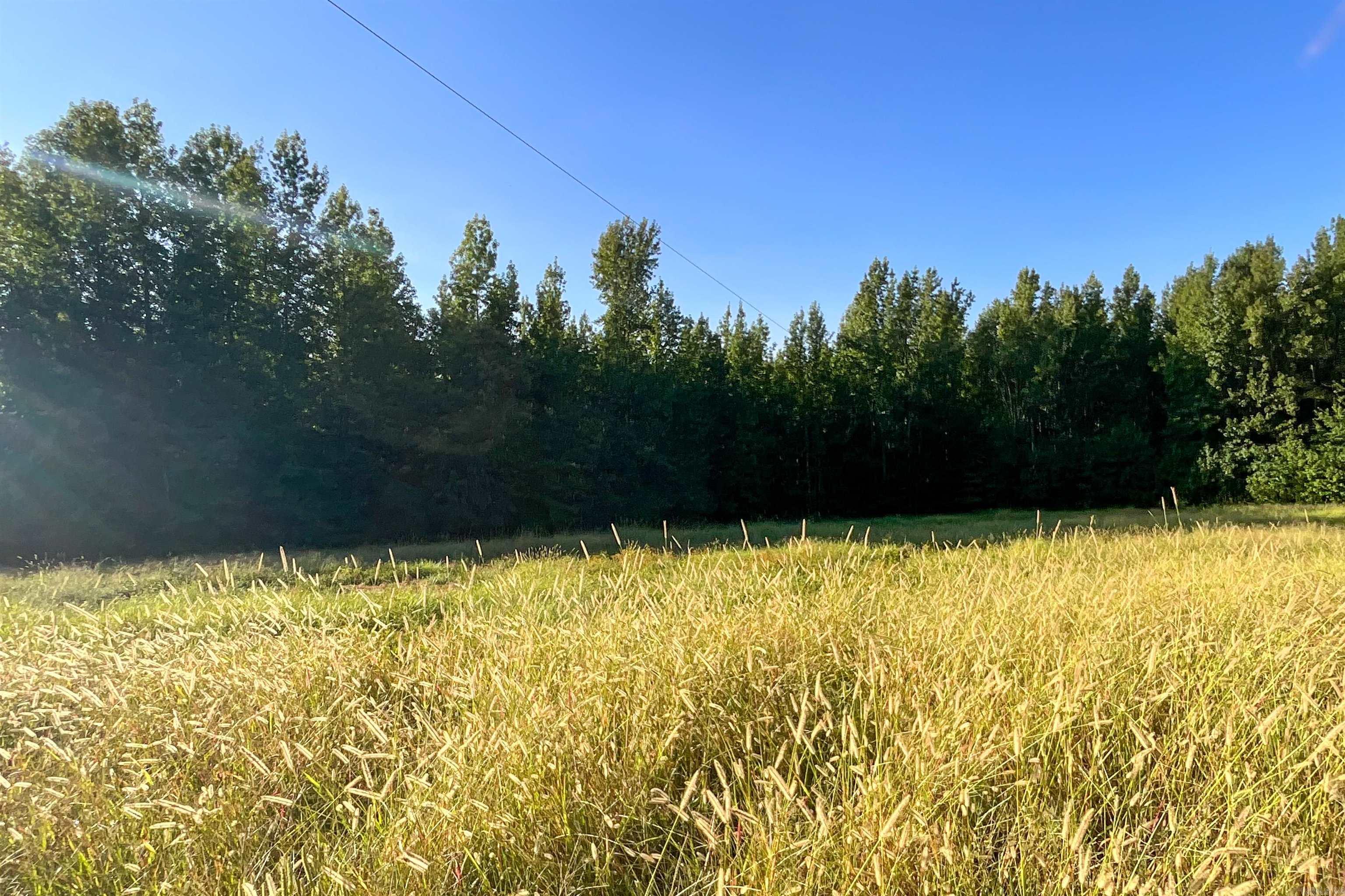 Clay County Rd. 408 Property Photo 16