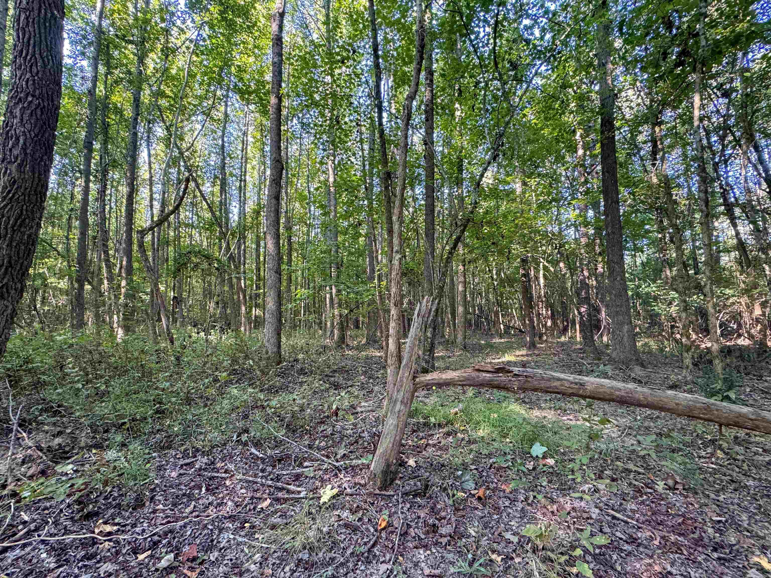 Clay County Rd. 408 Property Photo 18