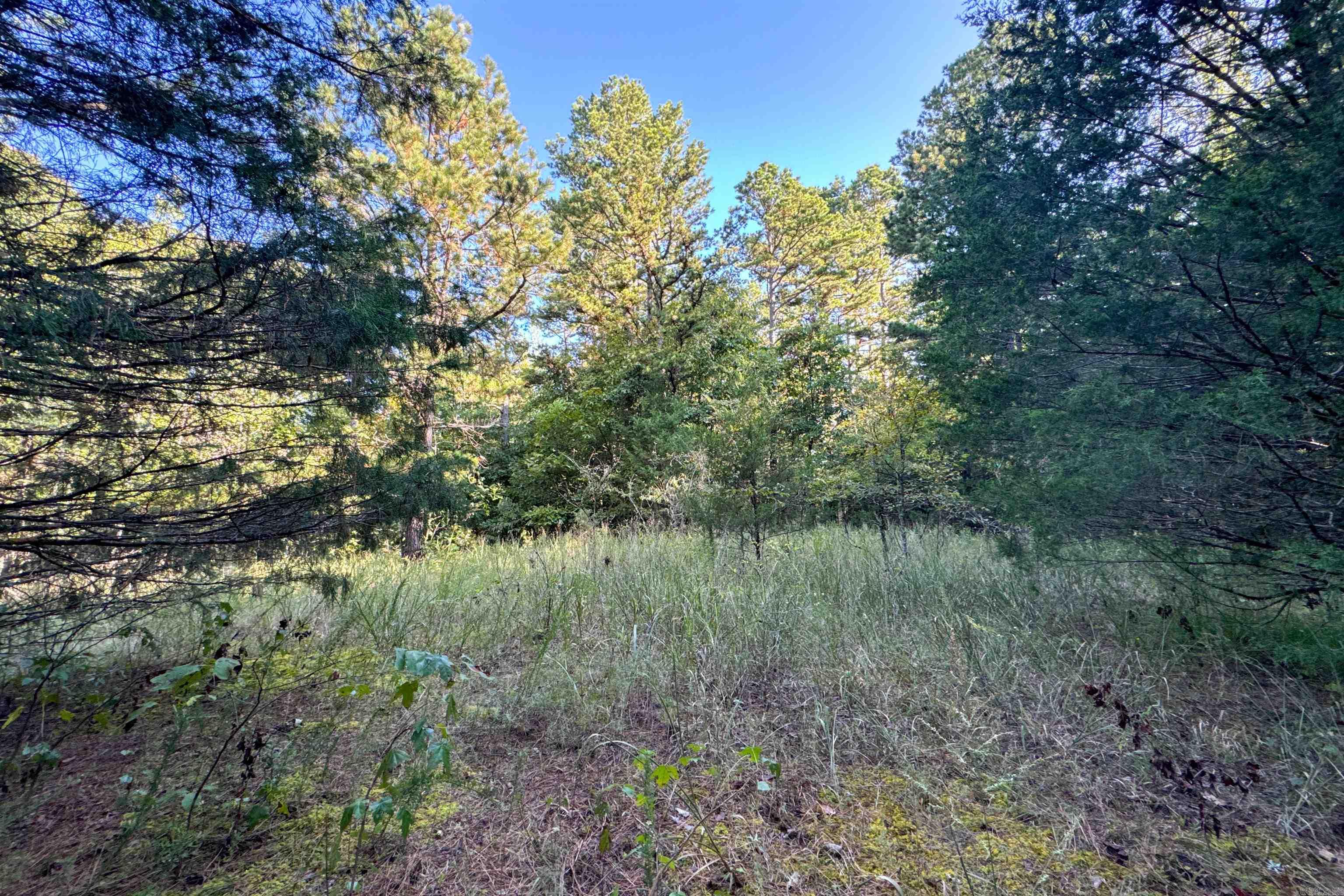 Clay County Rd. 408 Property Photo 20