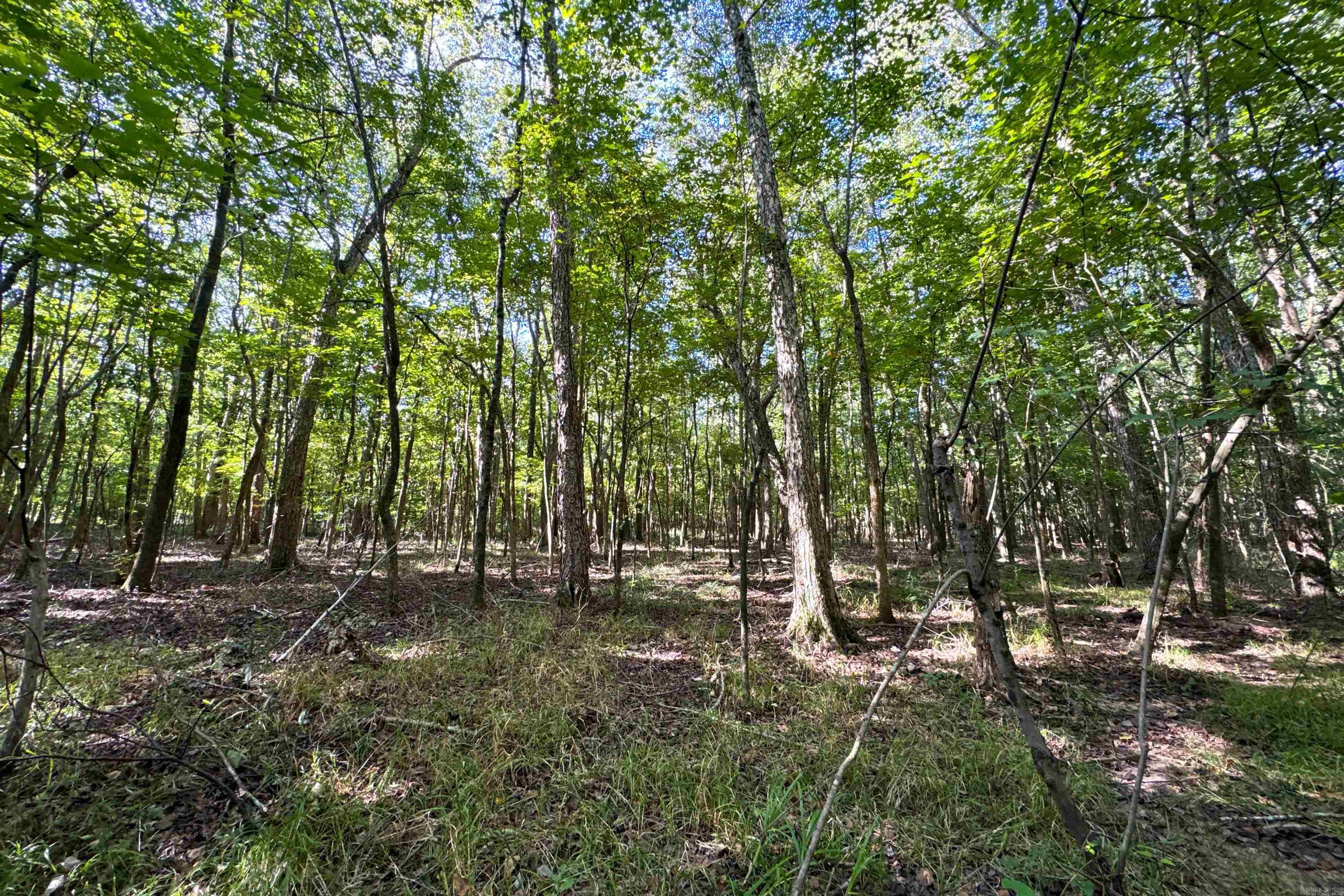 Clay County Rd. 408 Property Photo 24