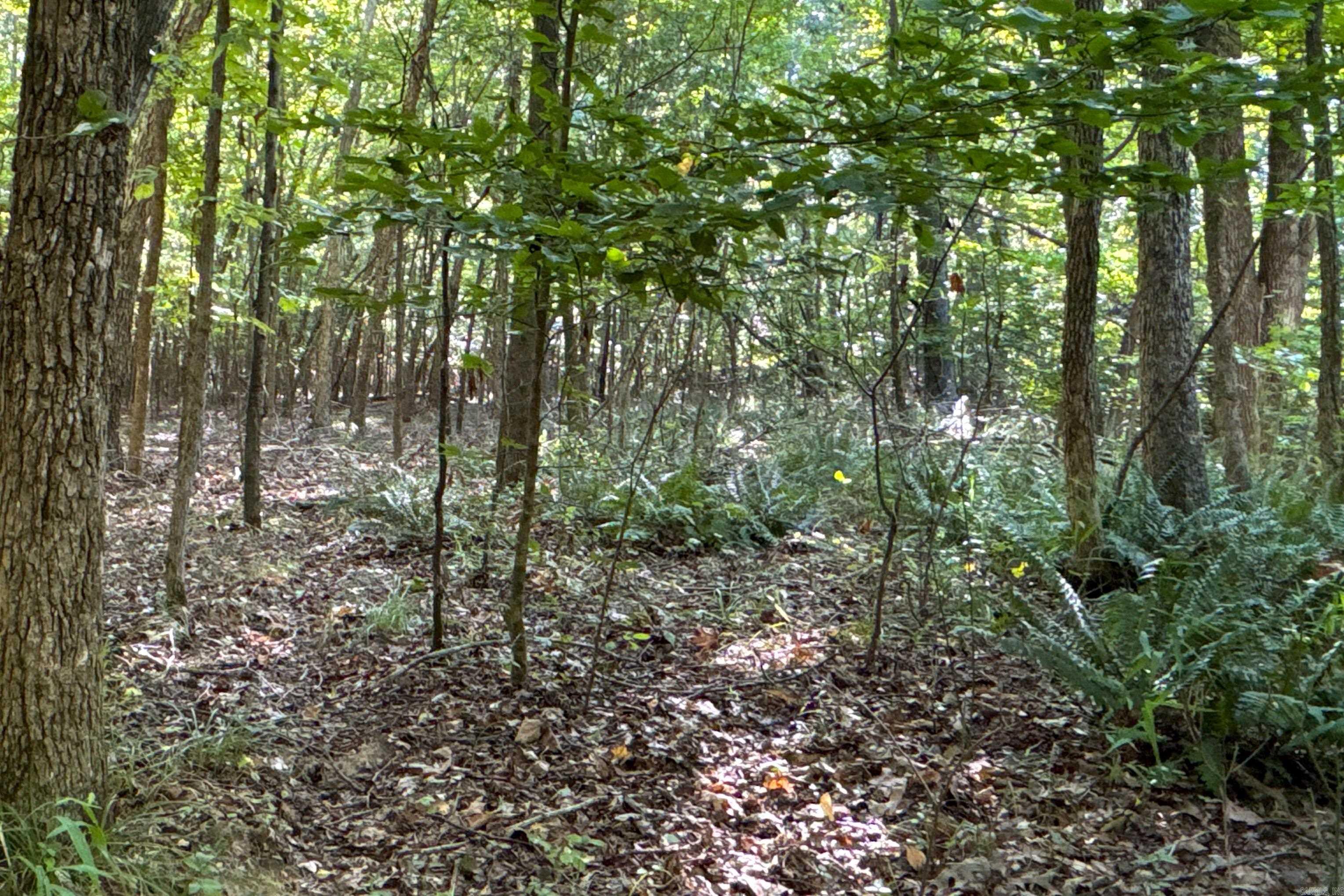 Clay County Rd. 408 Property Photo 25