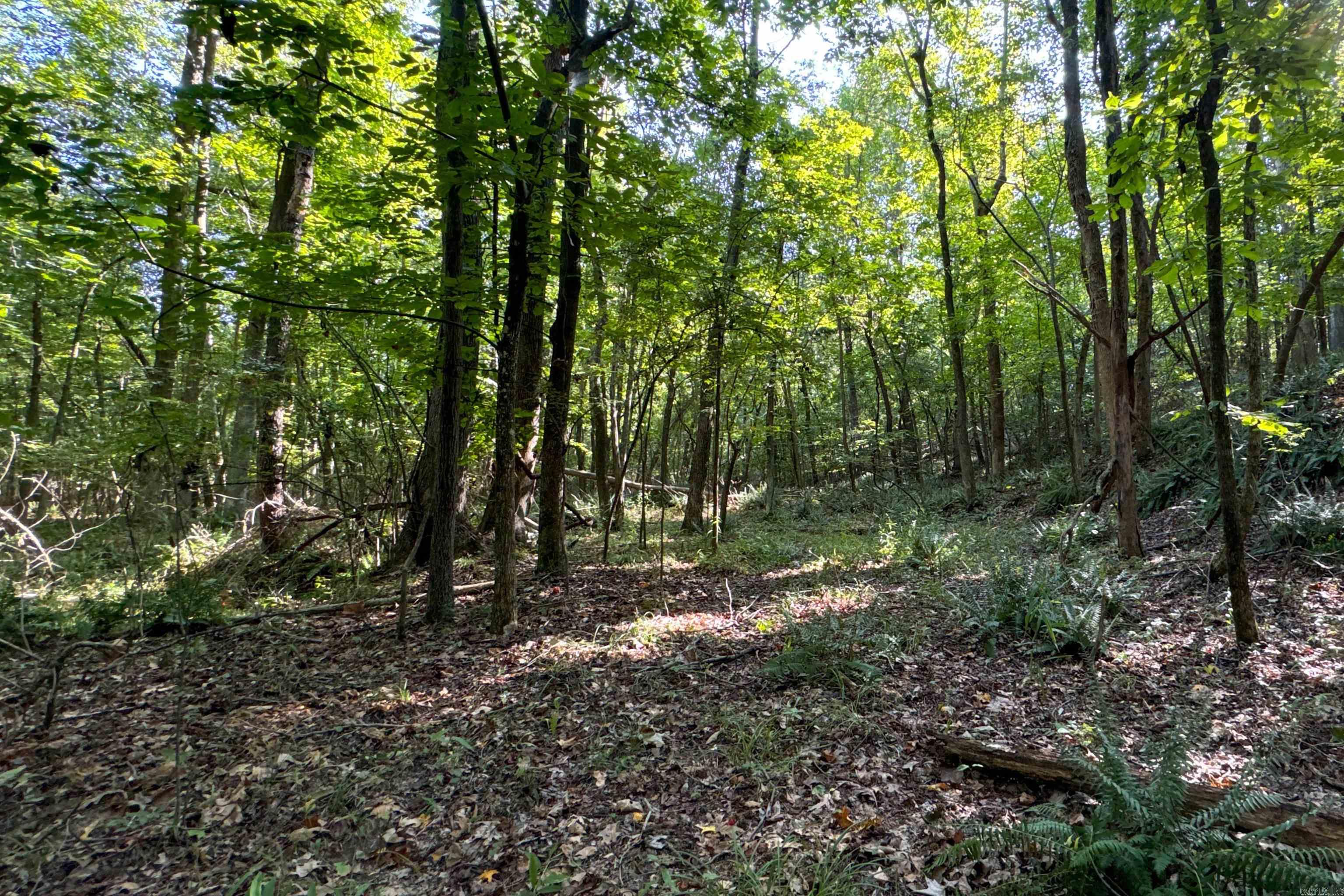 Clay County Rd. 408 Property Photo 26