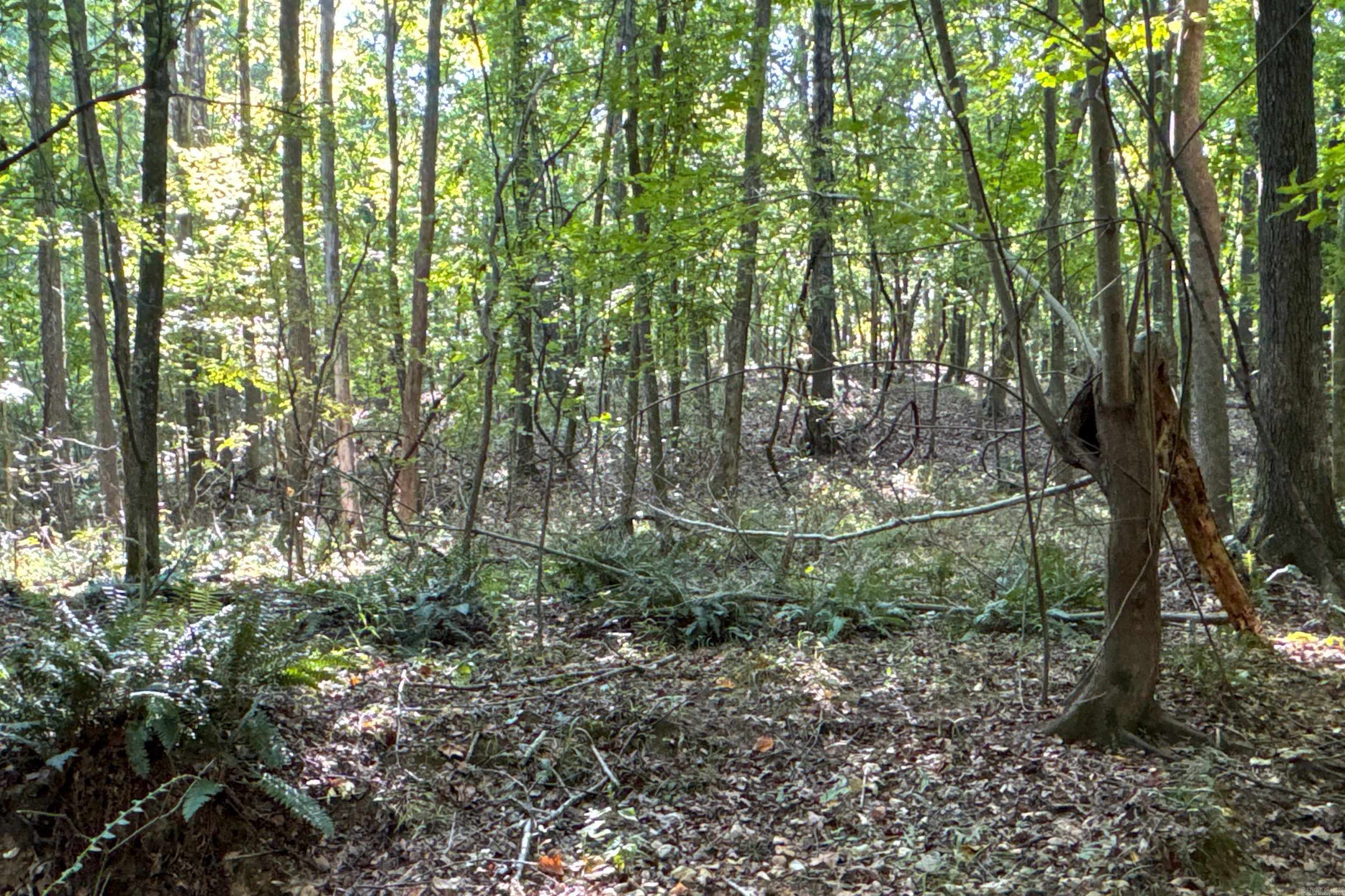 Clay County Rd. 408 Property Photo 27