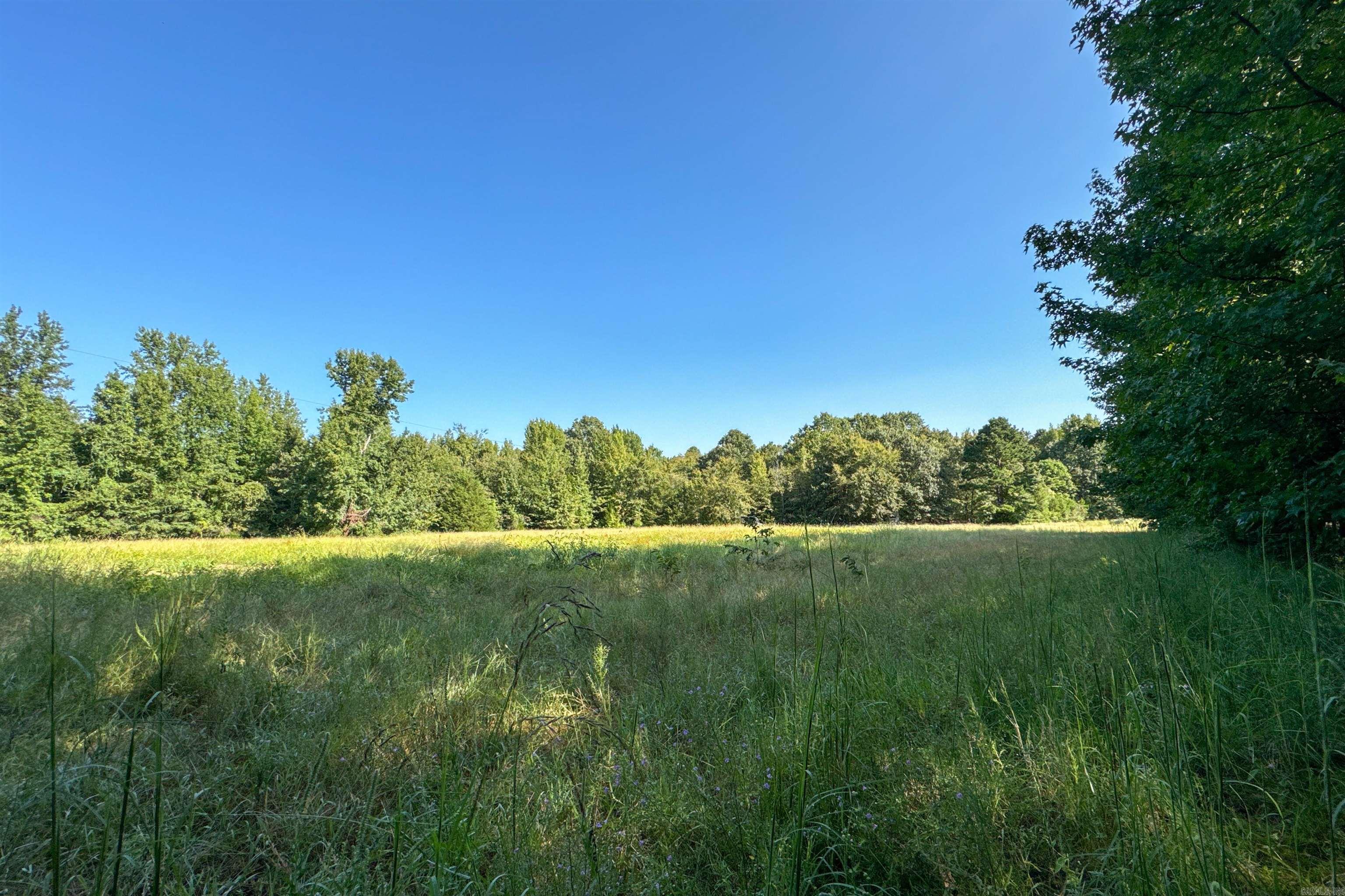 Clay County Rd. 408 Property Photo 28