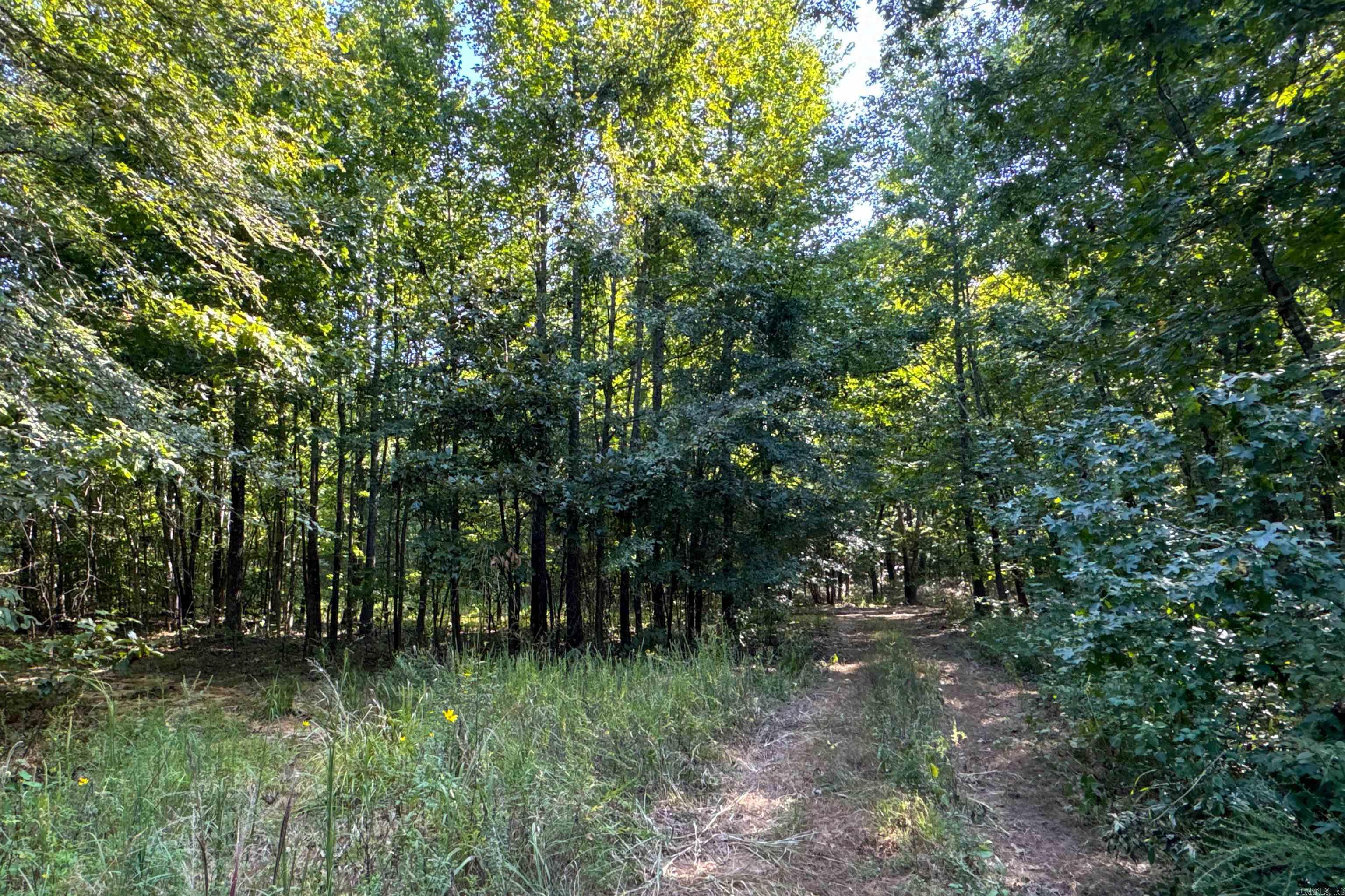 Clay County Rd. 408 Property Photo 29