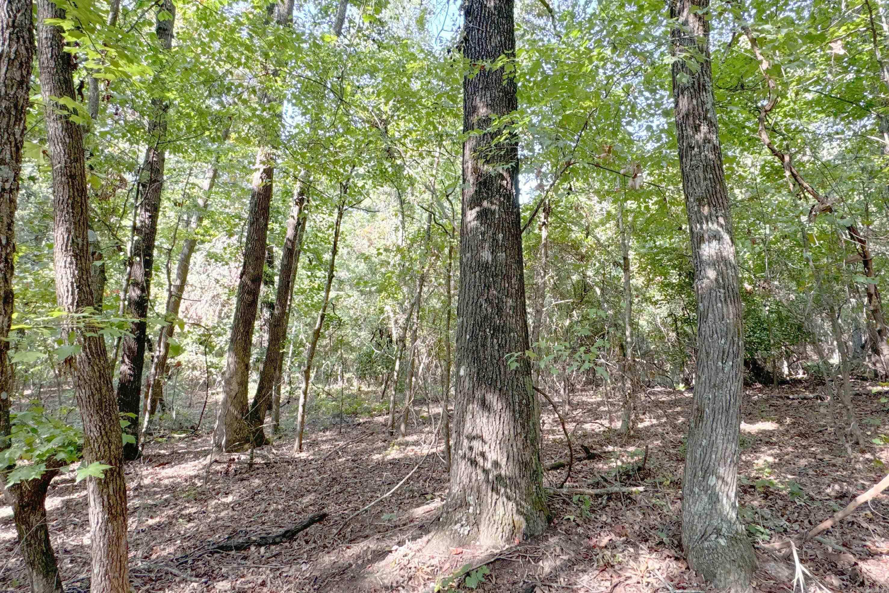 Clay County Rd. 408 Property Photo 31