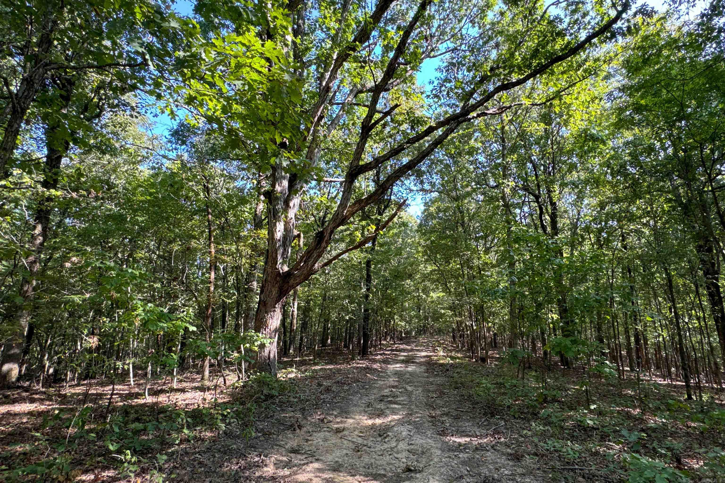Clay County Rd. 408 Property Photo 32