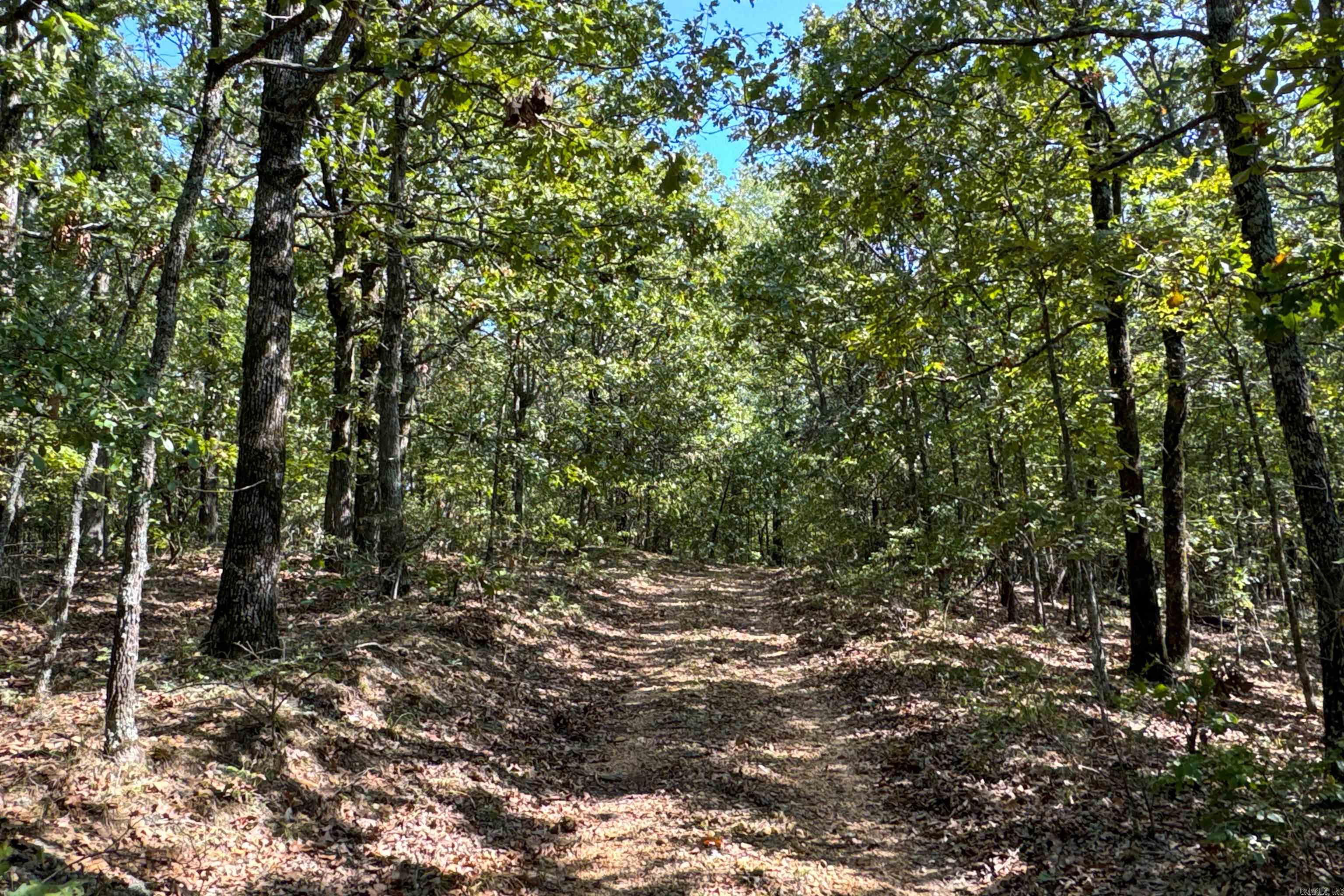 Clay County Rd. 408 Property Photo 34