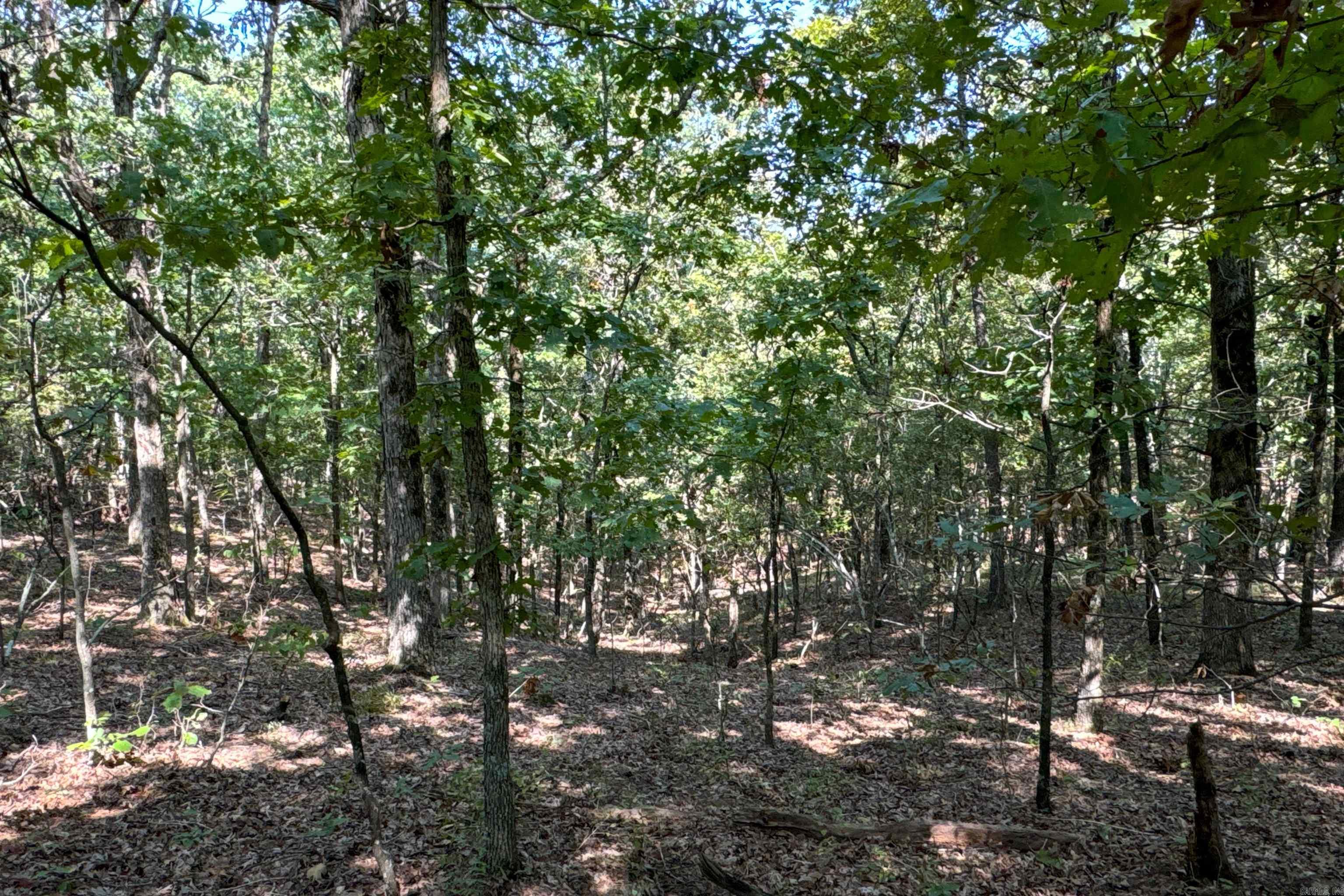 Clay County Rd. 408 Property Photo 35