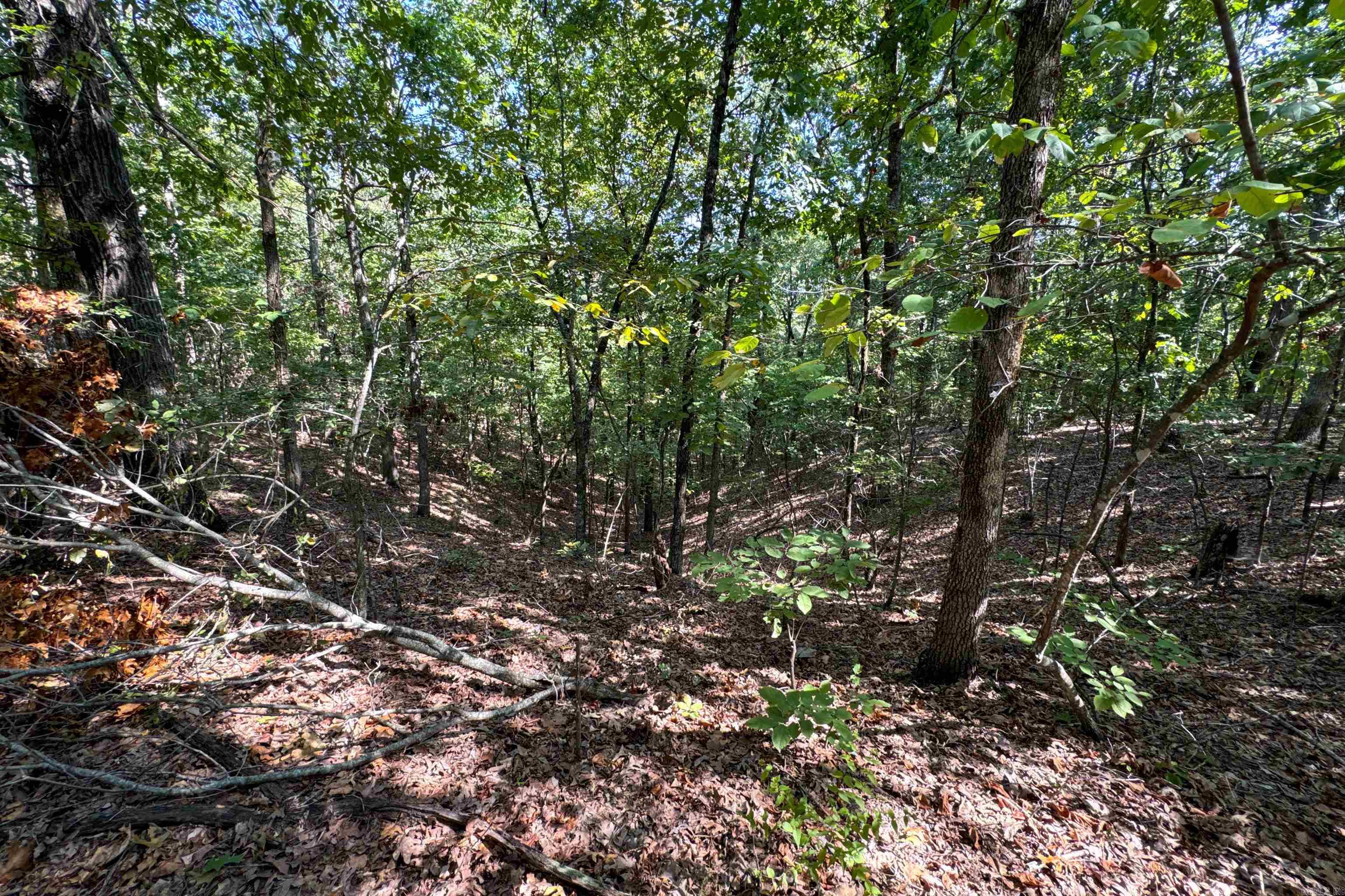 Clay County Rd. 408 Property Photo 36