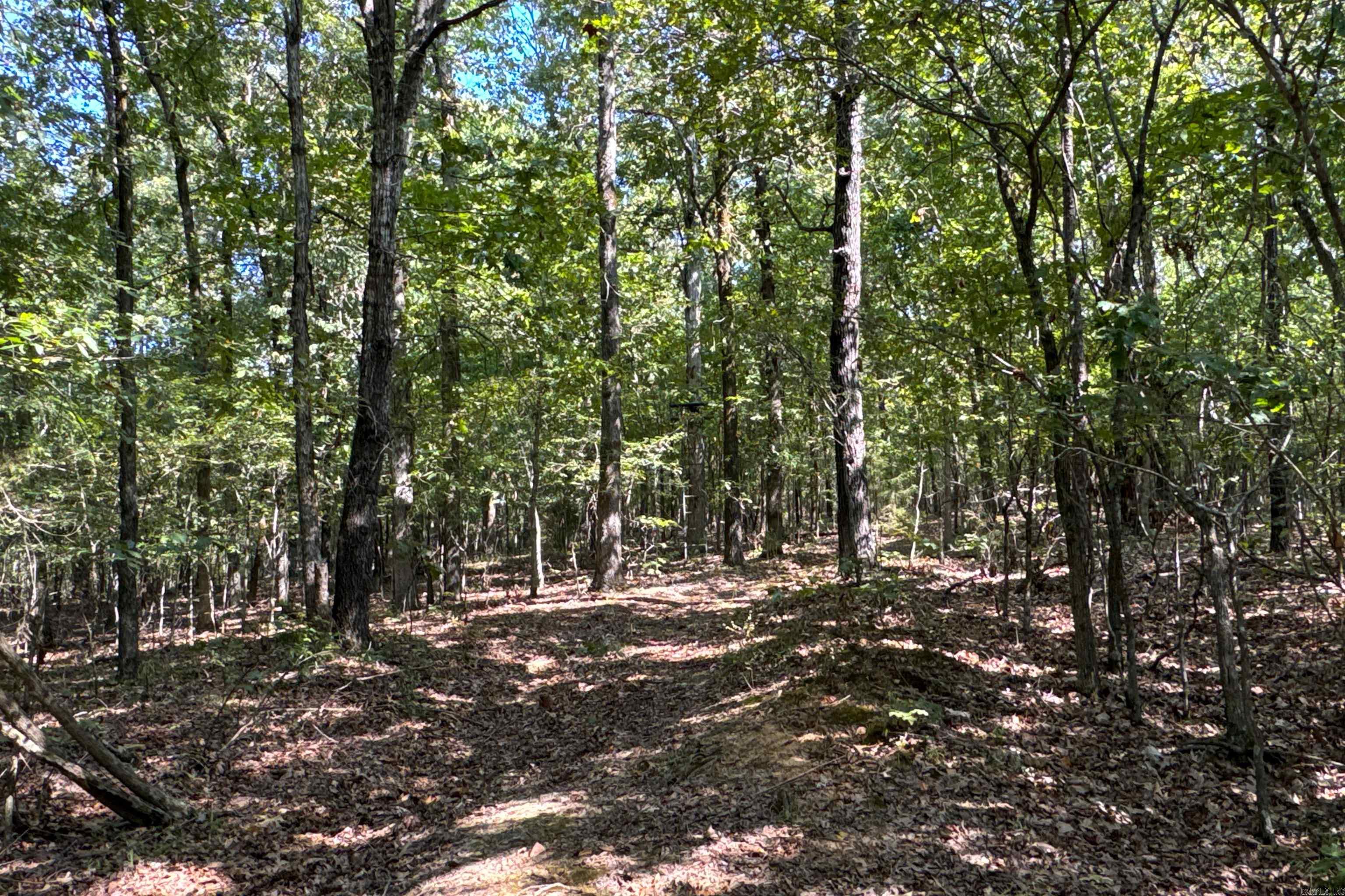 Clay County Rd. 408 Property Photo 37