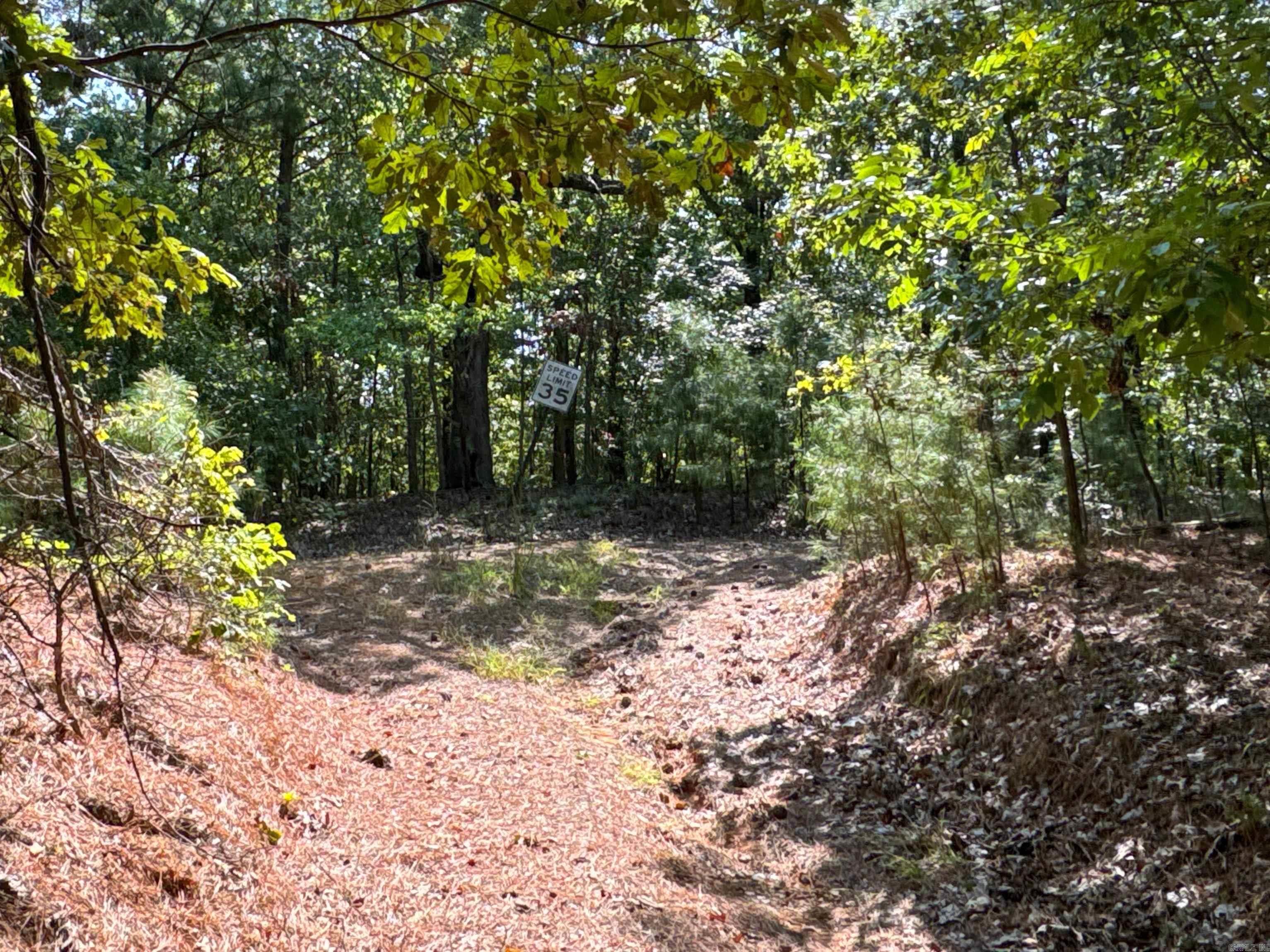 Clay County Rd. 408 Property Photo 38