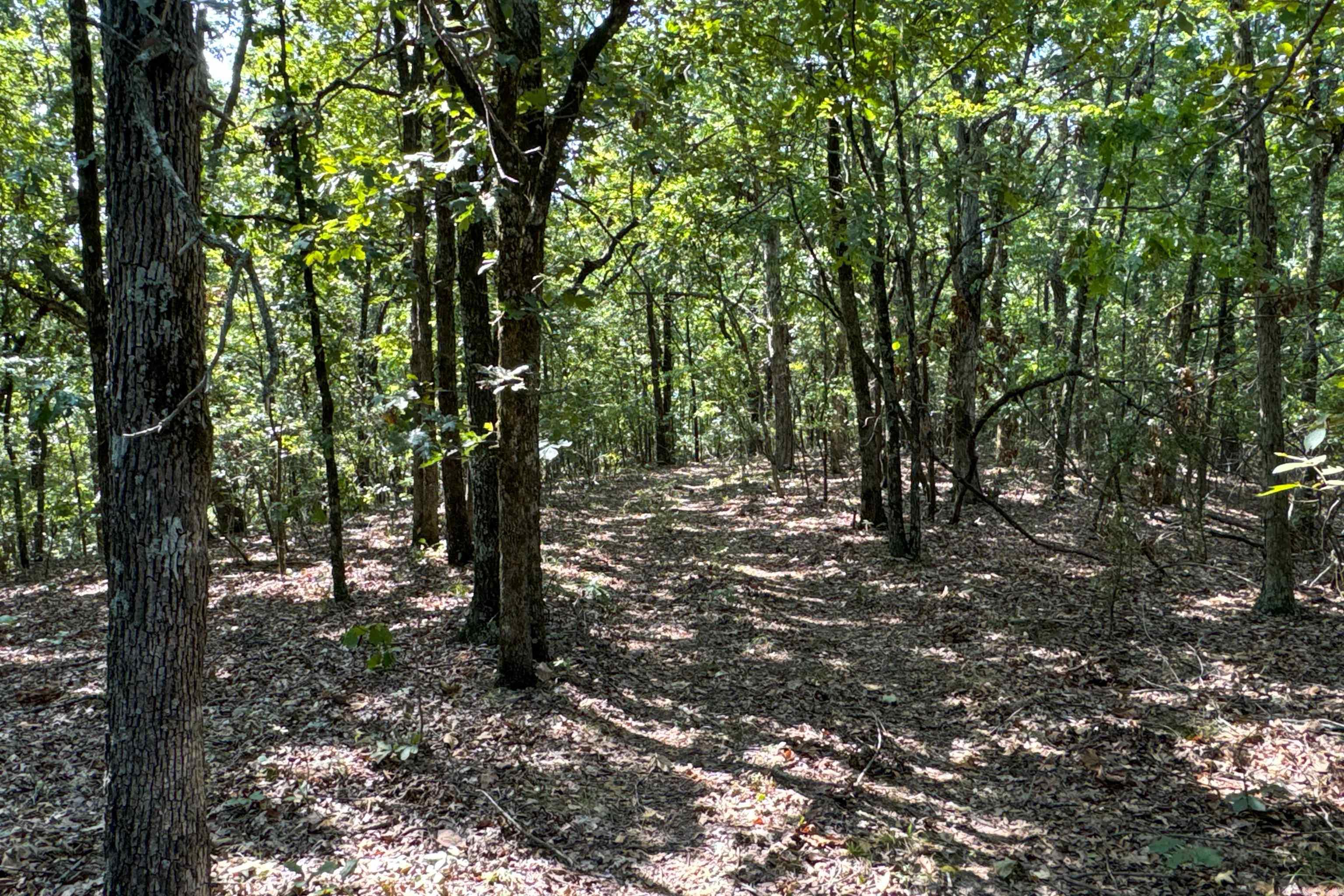 Clay County Rd. 408 Property Photo 39