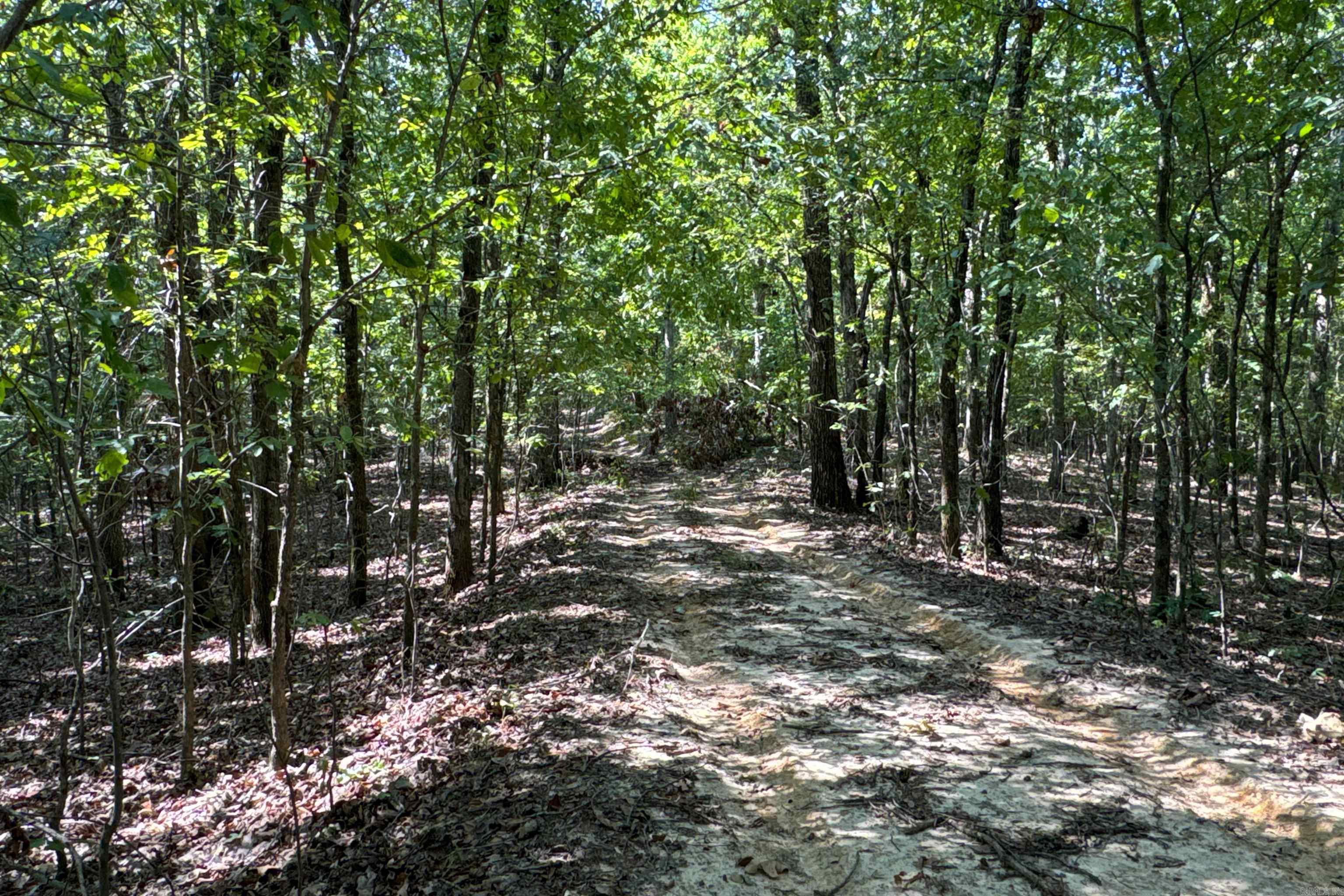 Clay County Rd. 408 Property Photo 40
