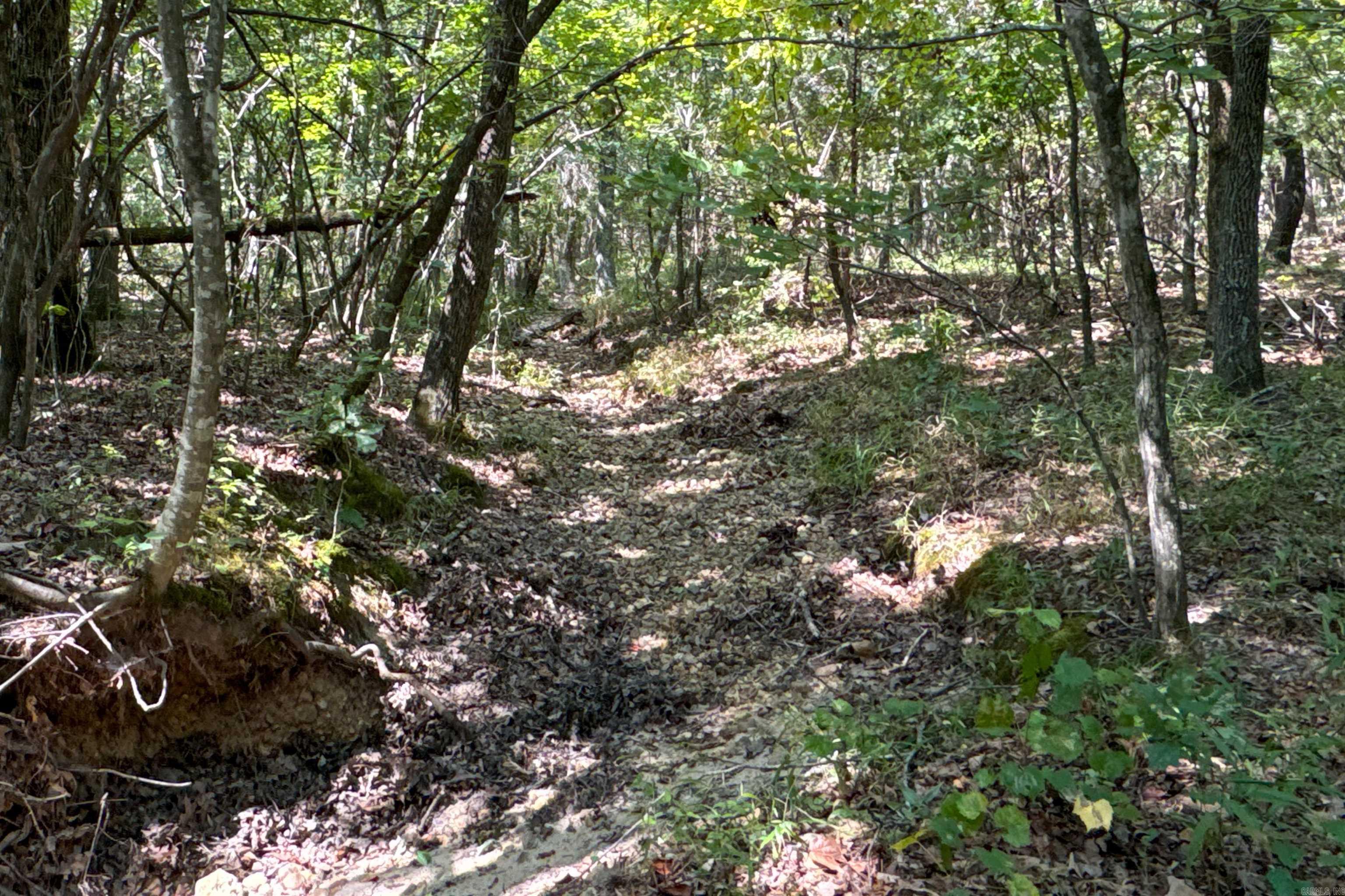 Clay County Rd. 408 Property Photo 42