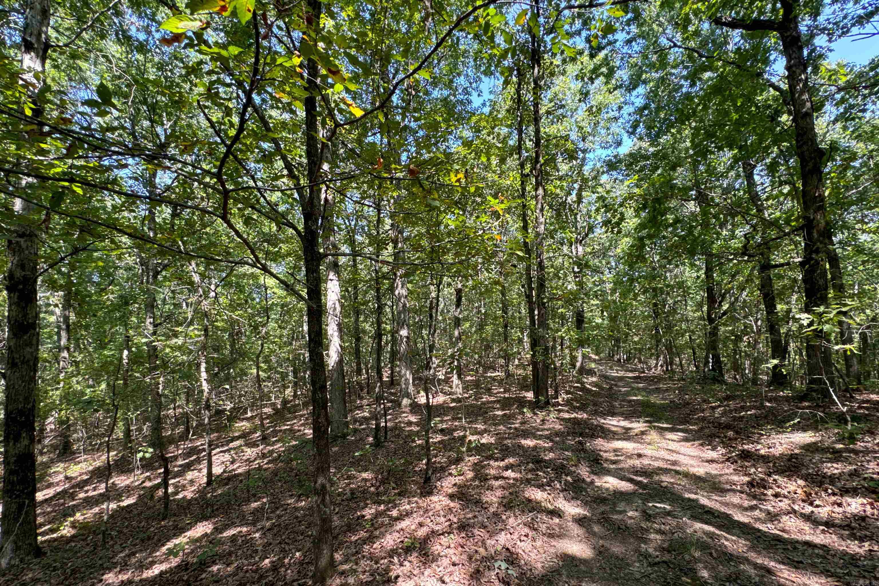 Clay County Rd. 408 Property Photo 43