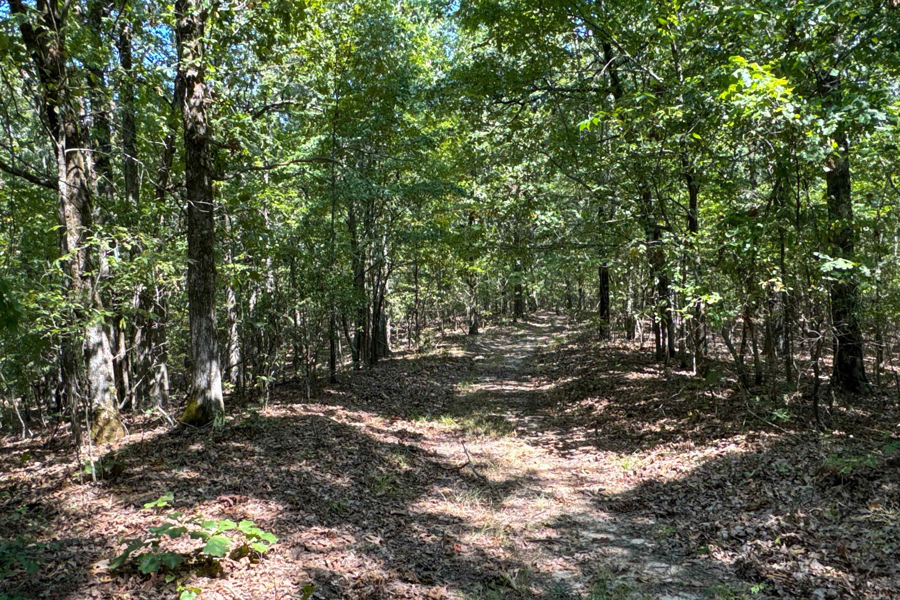 Clay County Rd. 408 Property Photo 44