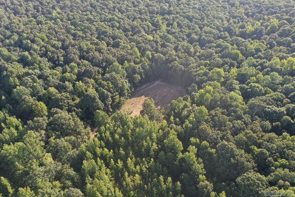Clay County Rd. 408 Property Photo 48
