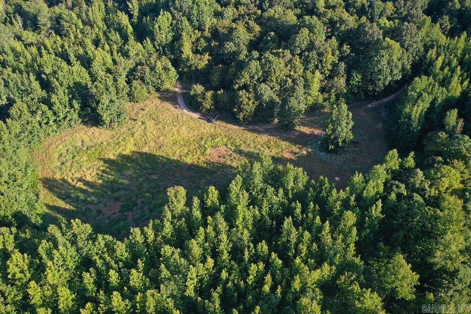 Clay County Rd. 408 Property Photo 49