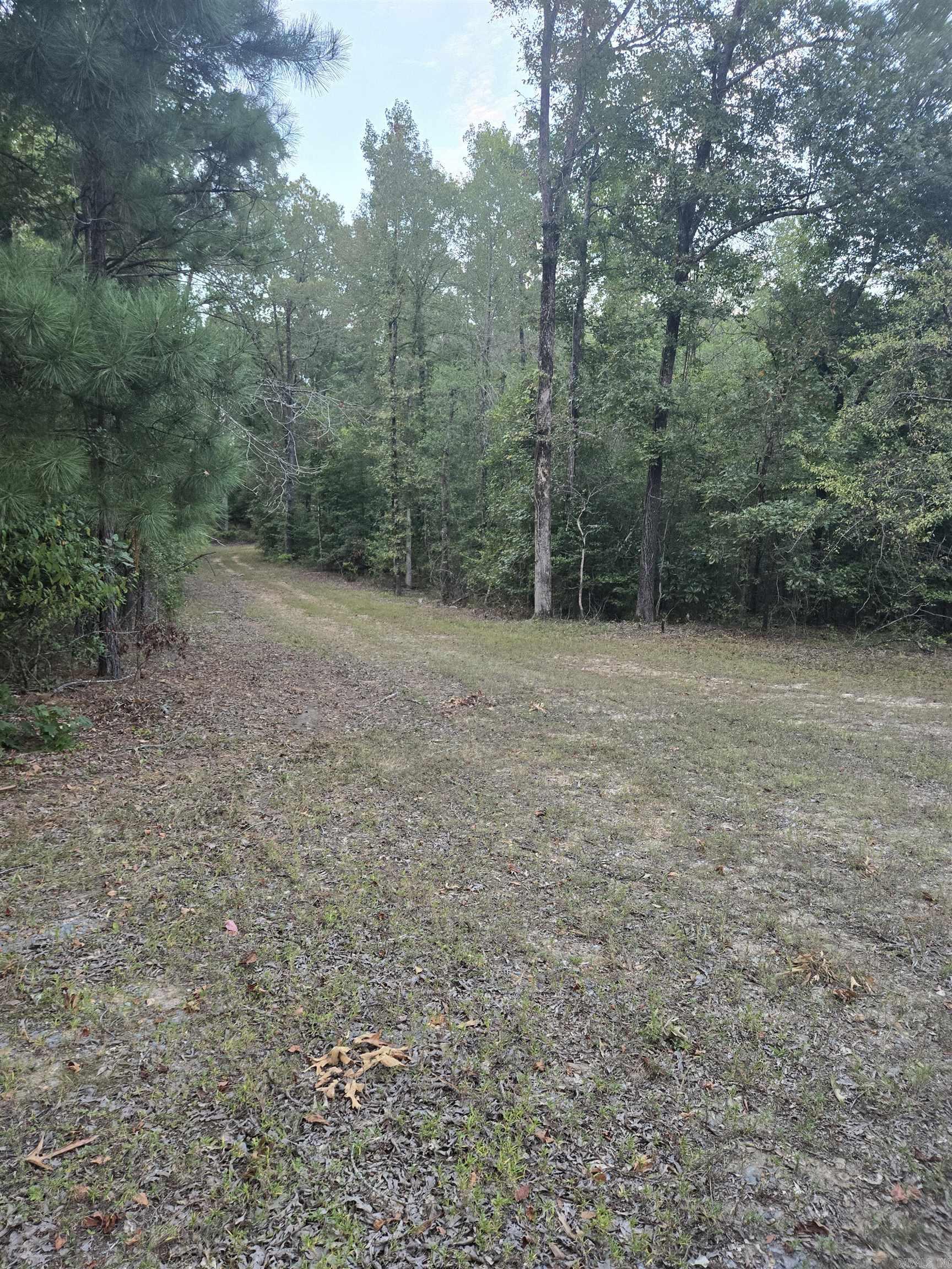 5311 Lambert Property Photo 4