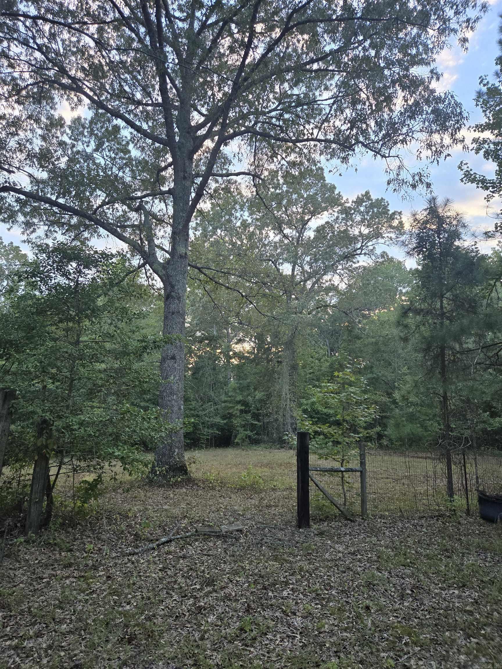 5311 Lambert Property Photo 12