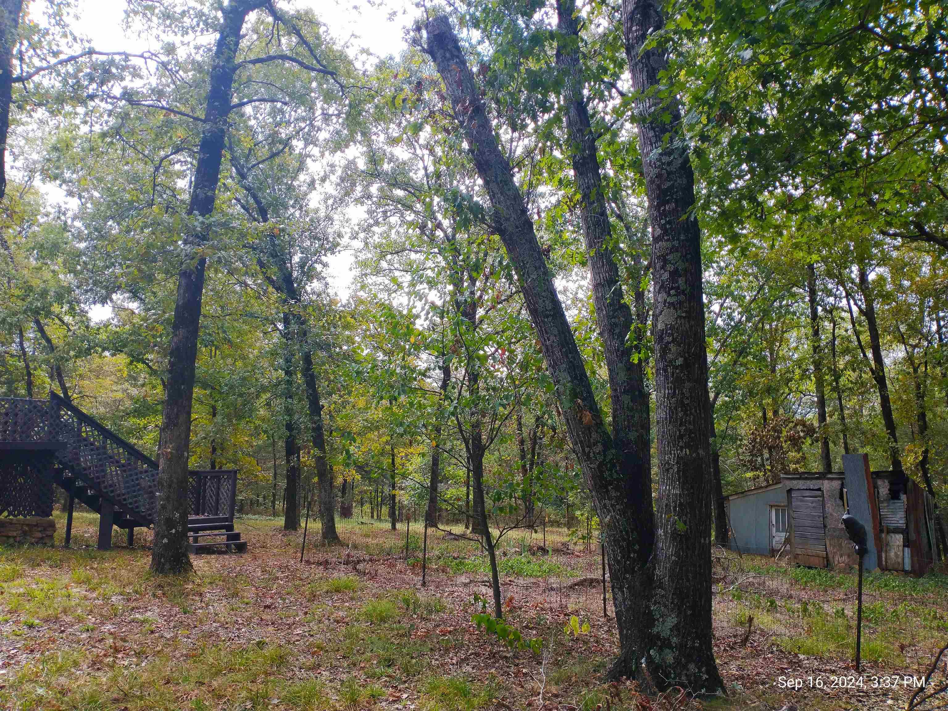 426 County Road 1794 Property Photo 2