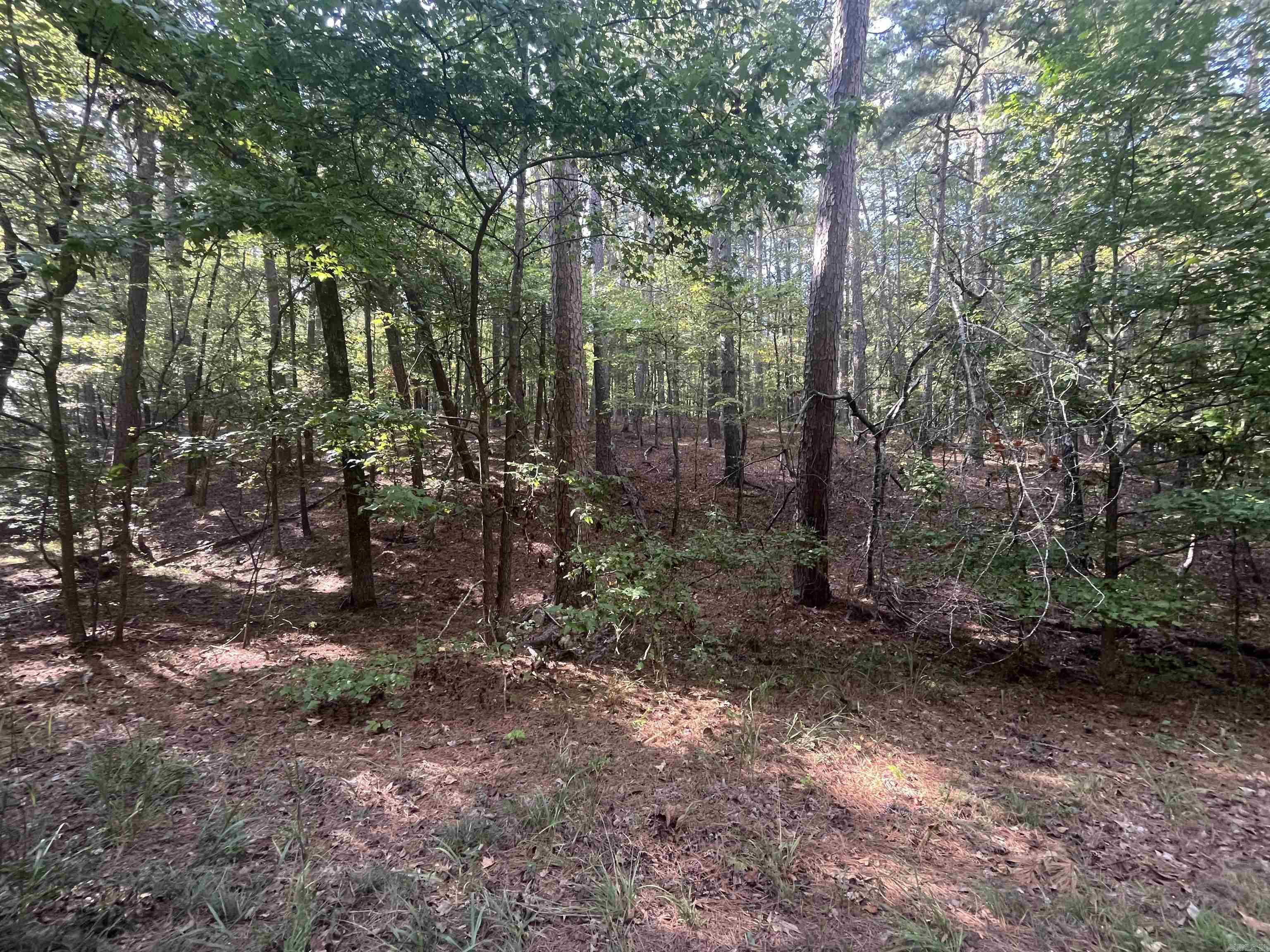 Lot 7 Blk 4 Doscientos Way Property Photo 2