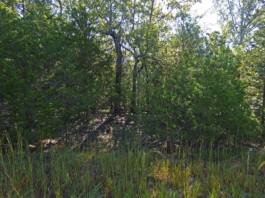 Diamond Cove Lane Property Photo 1